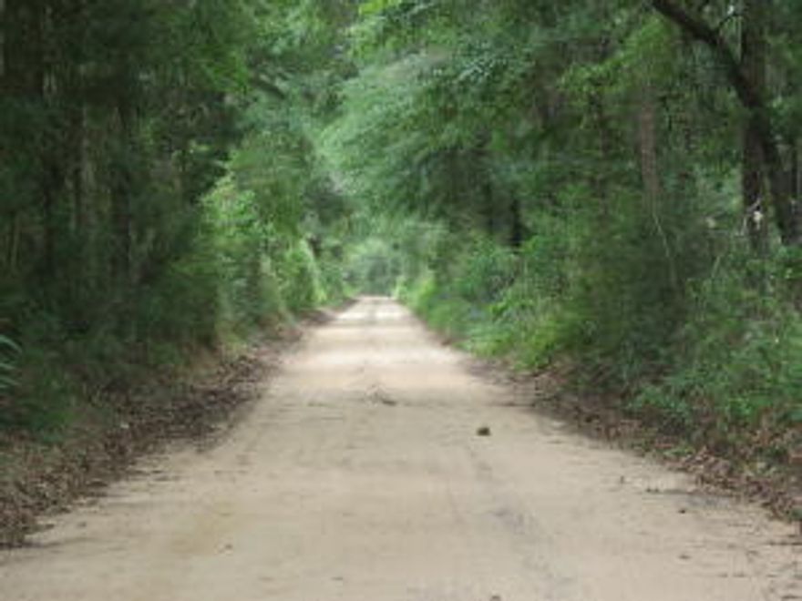 This Beautiful 2.4 Acre parcel located in Holt Florida could make for a perfect home site with very few neighbors. Property features an abundance of beautiful hardwoods scattered throughout. This property will not only provides a future buyer with a ton of potential for a nice secluded home site. You could also use this property as a recreational get away. The South and West ends of the property backs up to several acres of timberland that should provide wildlife galore. Being only .2 miles from hwy 90 you are a short drive to Holt, Baker, and only 20 Minutes from the heart of Crestview. Sale contingent on lot split approval from the county. Acreage to be determined by survey.