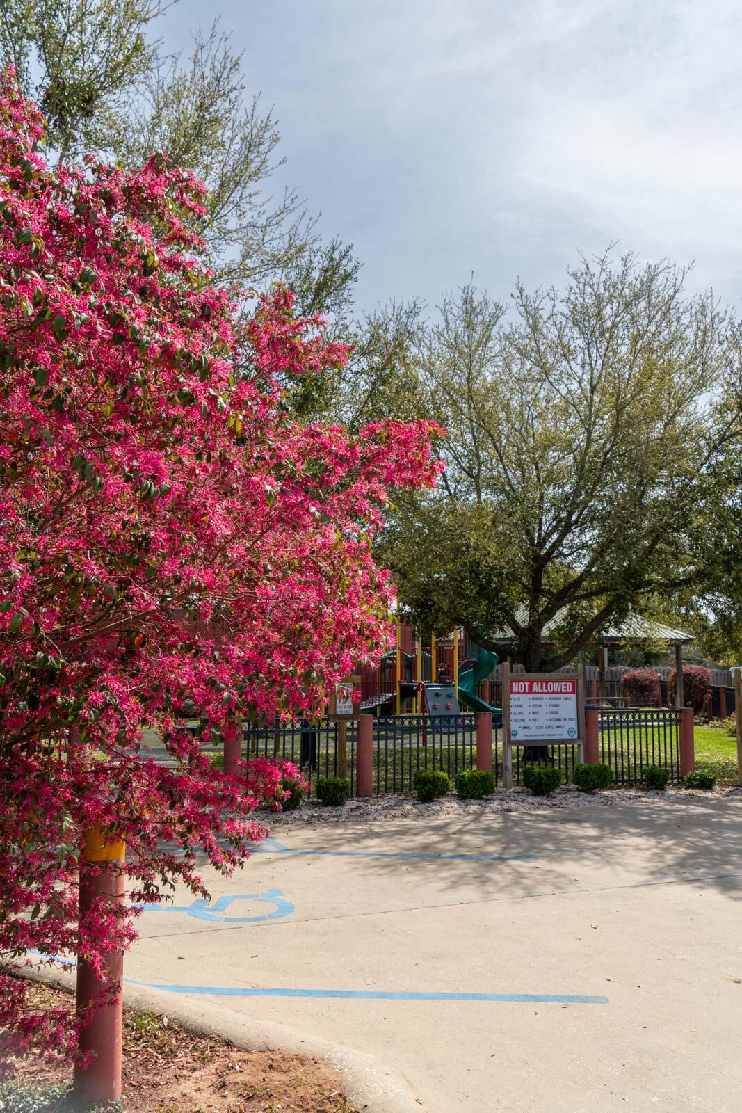 LEE FARMS PH II - Residential