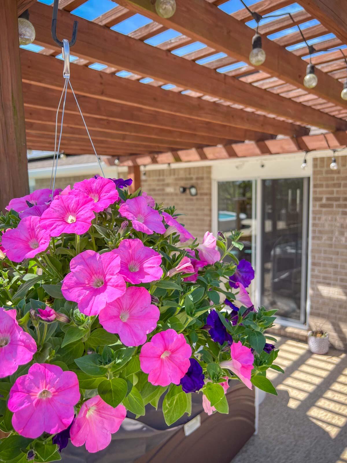 LEE FARMS PH II - Residential