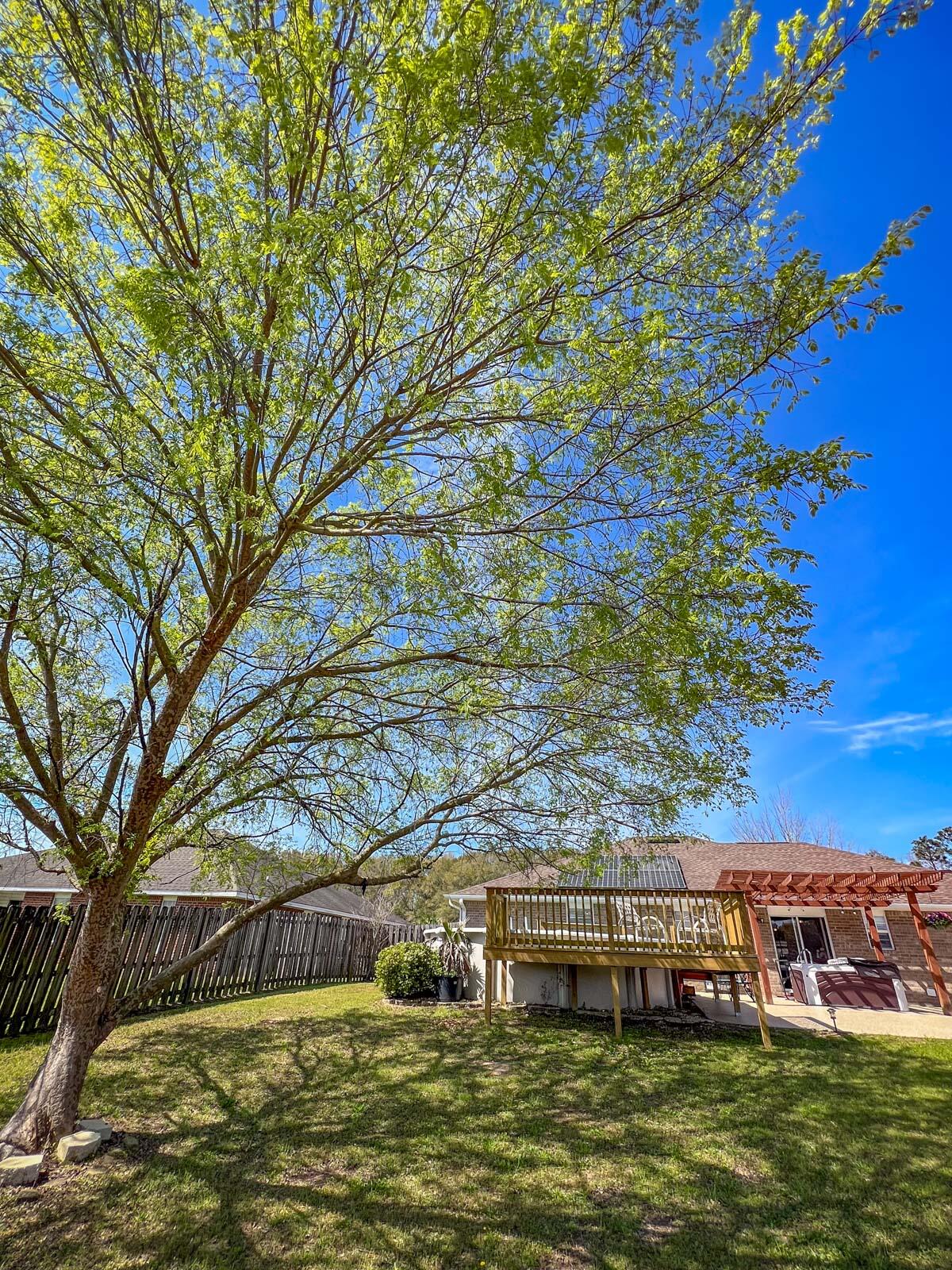 LEE FARMS PH II - Residential