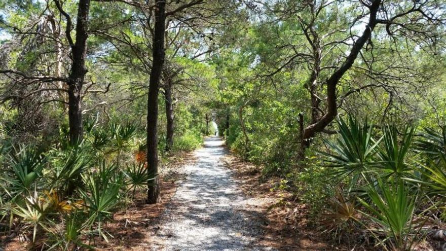 The perfect Seagrove Beach get away! Elevator with only 2 units on each floor. Quiet and private. 4 bedroom 3 full bath in the heart of Seagrove on 30A. This unit isturn key unit ready for rental. French doors leads to the large balcony overlooking the pool. Plenty of guest parking, well maintained landscaped grounds. Includes Fireplace, granite counters upgraded appliances. Open and spaces. Light neutral colors. Central island in kitchen, over sized pantry. Huge dining room open living. Lots natural light, windows with white faux wood blind shutters. Storage/owners closet with room for bikes and beach toys. Easy to view and ready to move in.