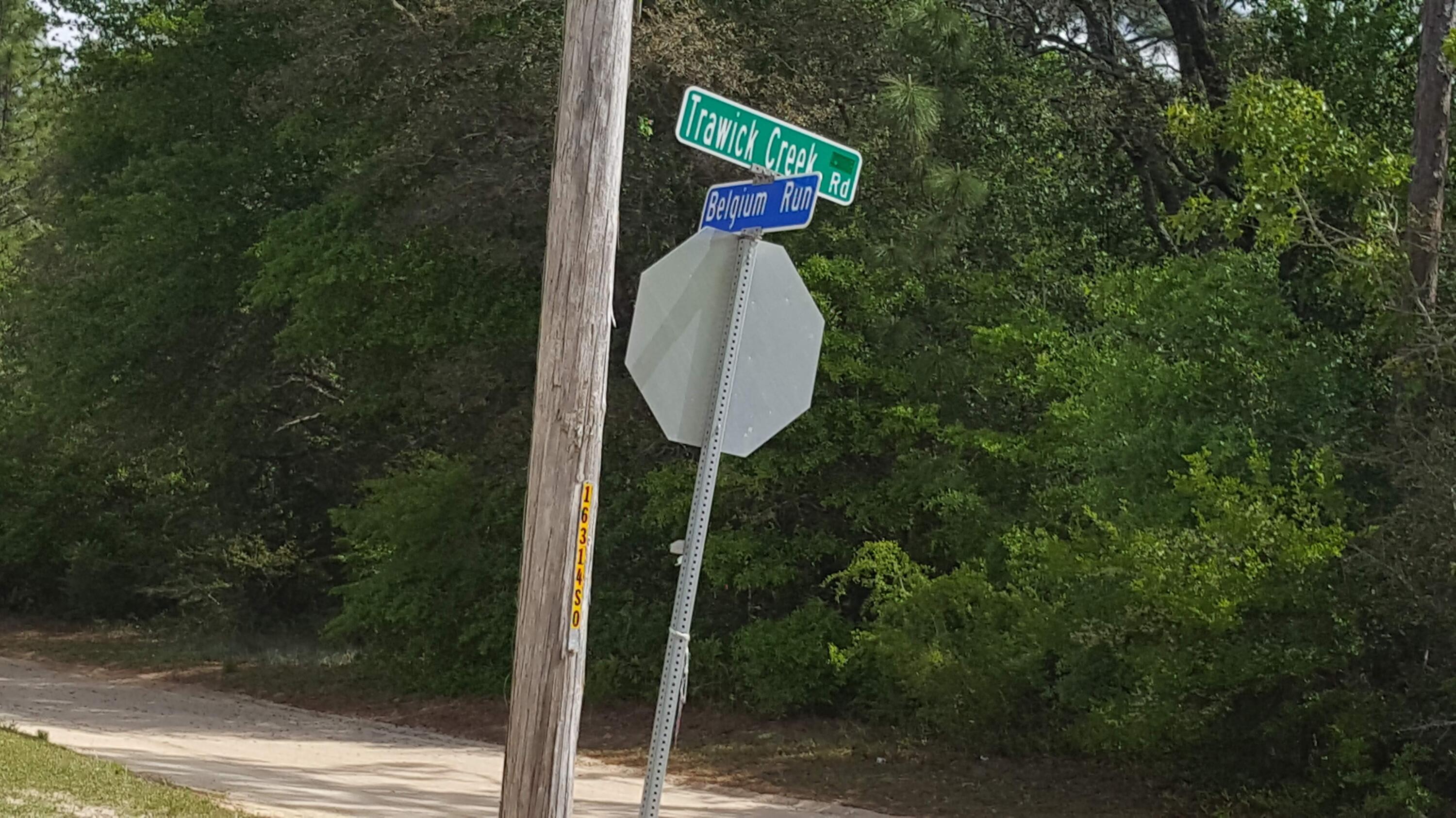 Trawick Creek Road - Farm