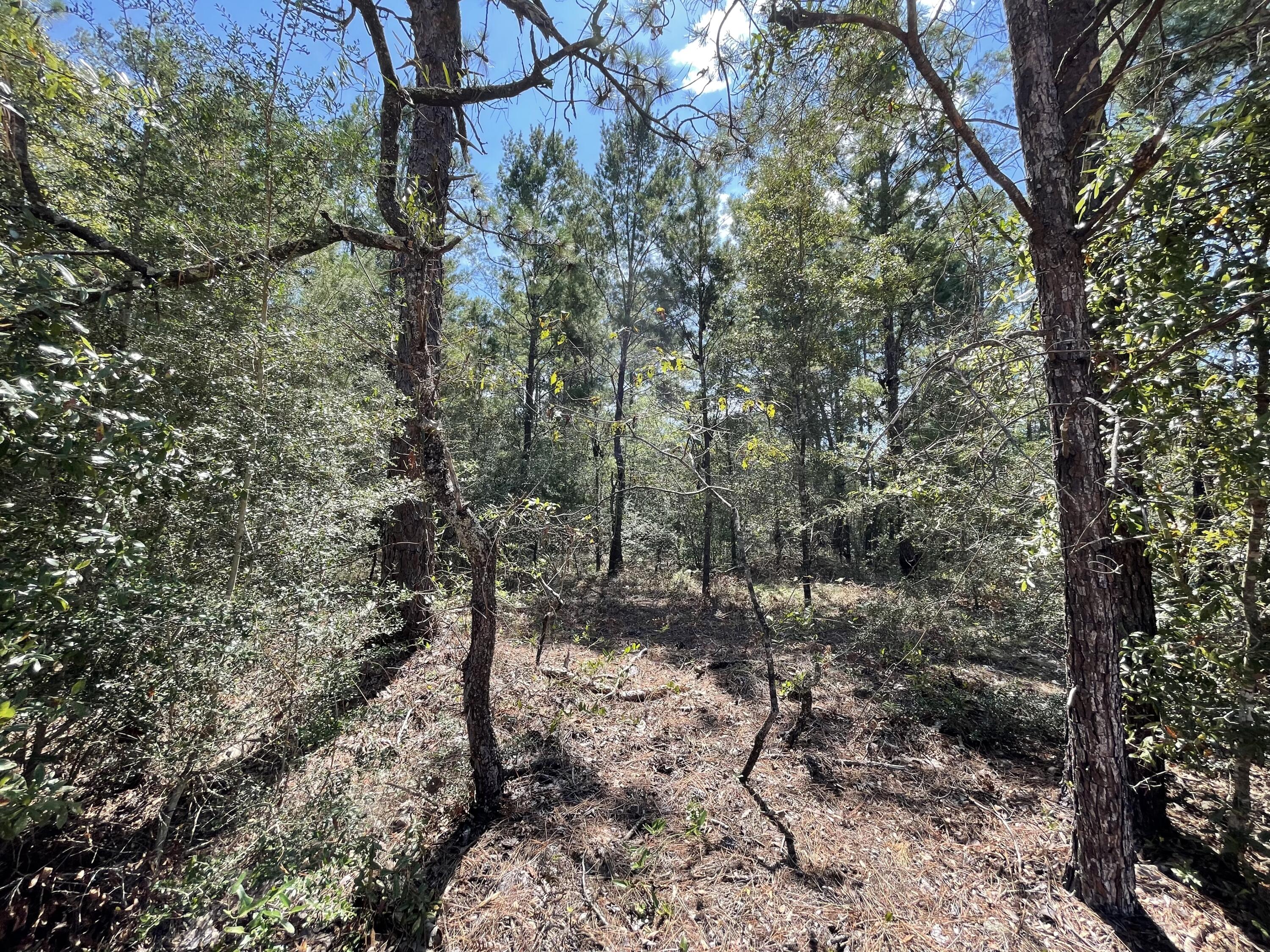 OAKWOOD HILLS UNIT 1 - Land