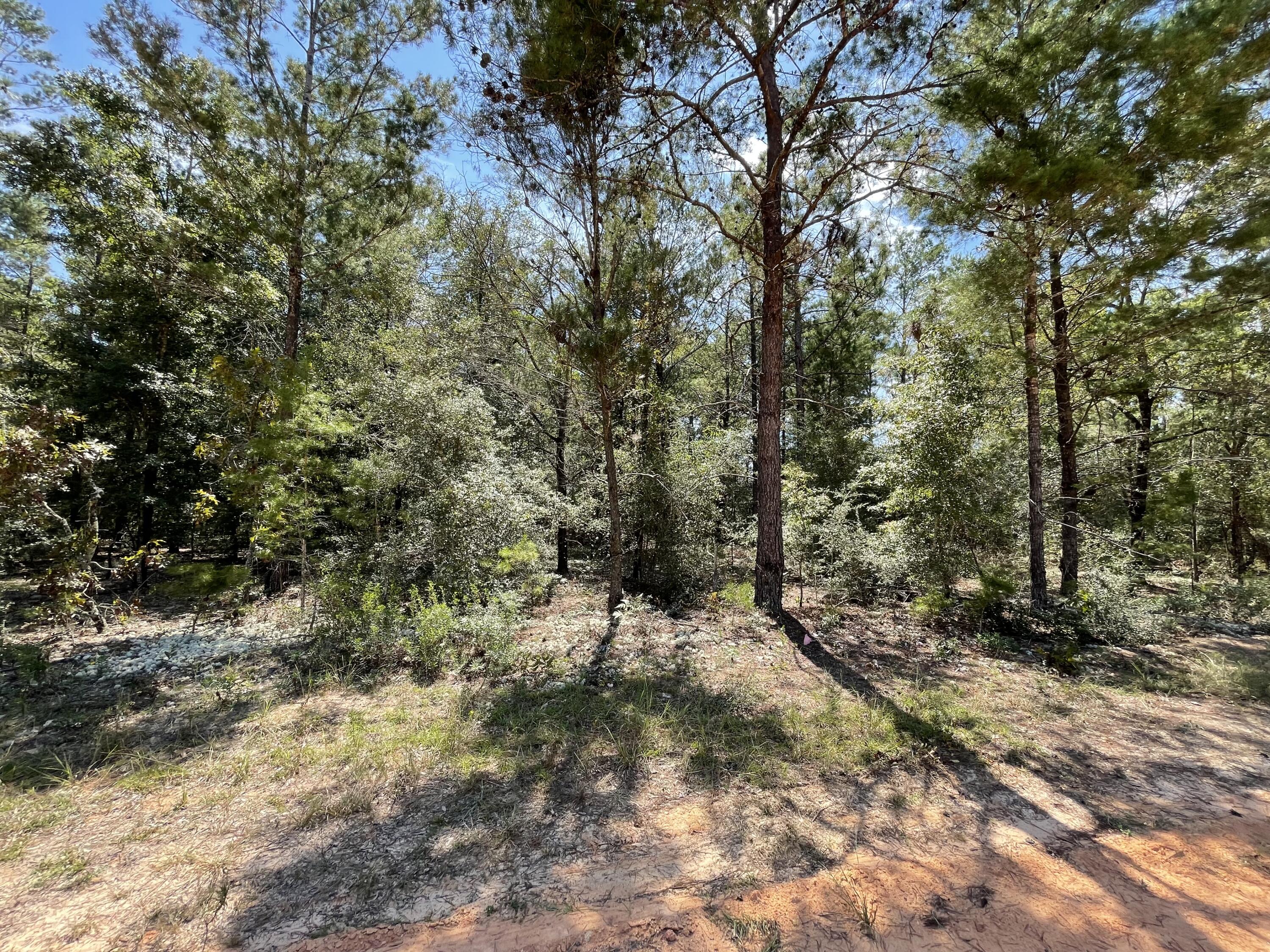 OAKWOOD HILLS UNIT 1 - Land