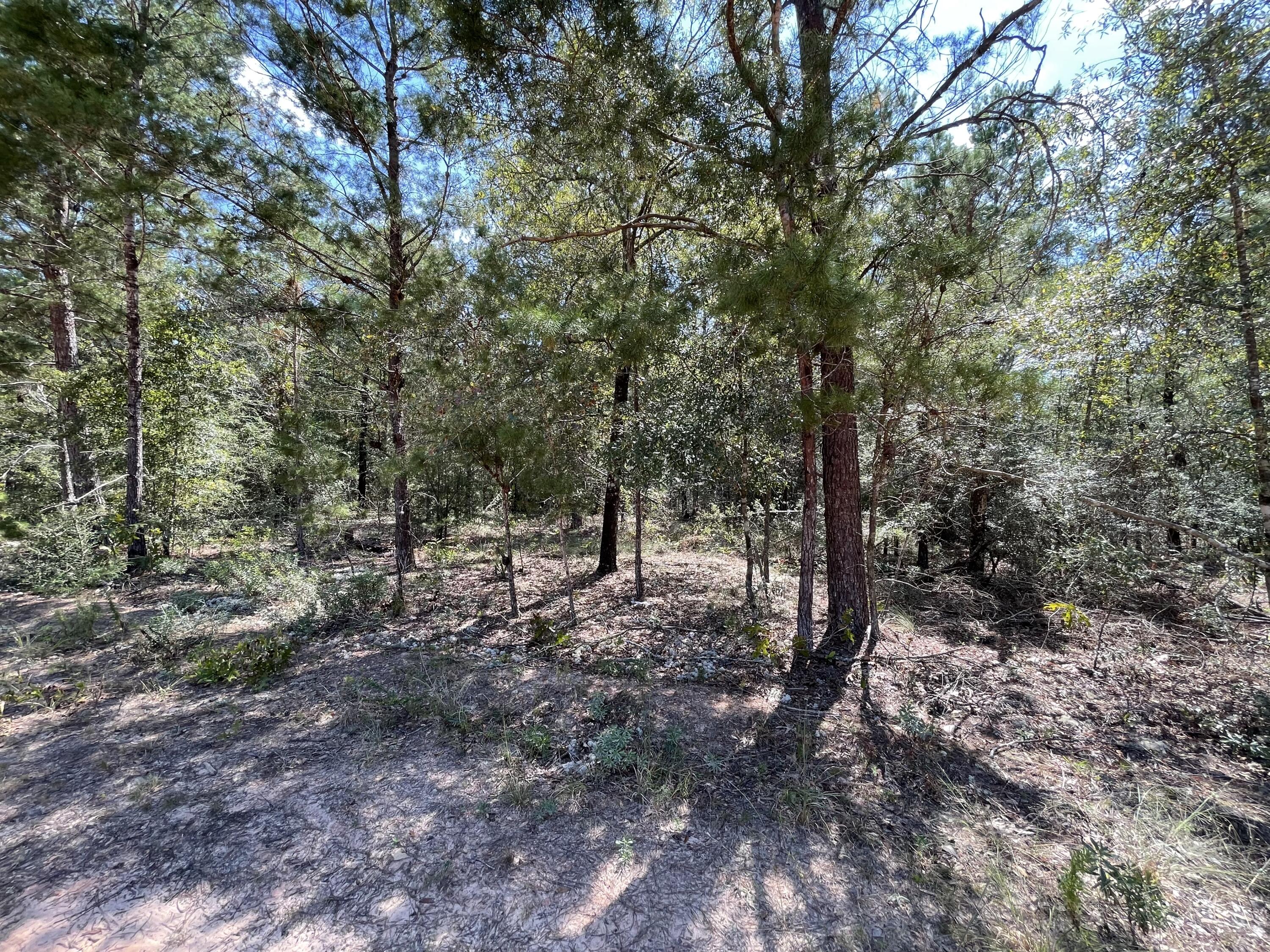 OAKWOOD HILLS UNIT 1 - Land