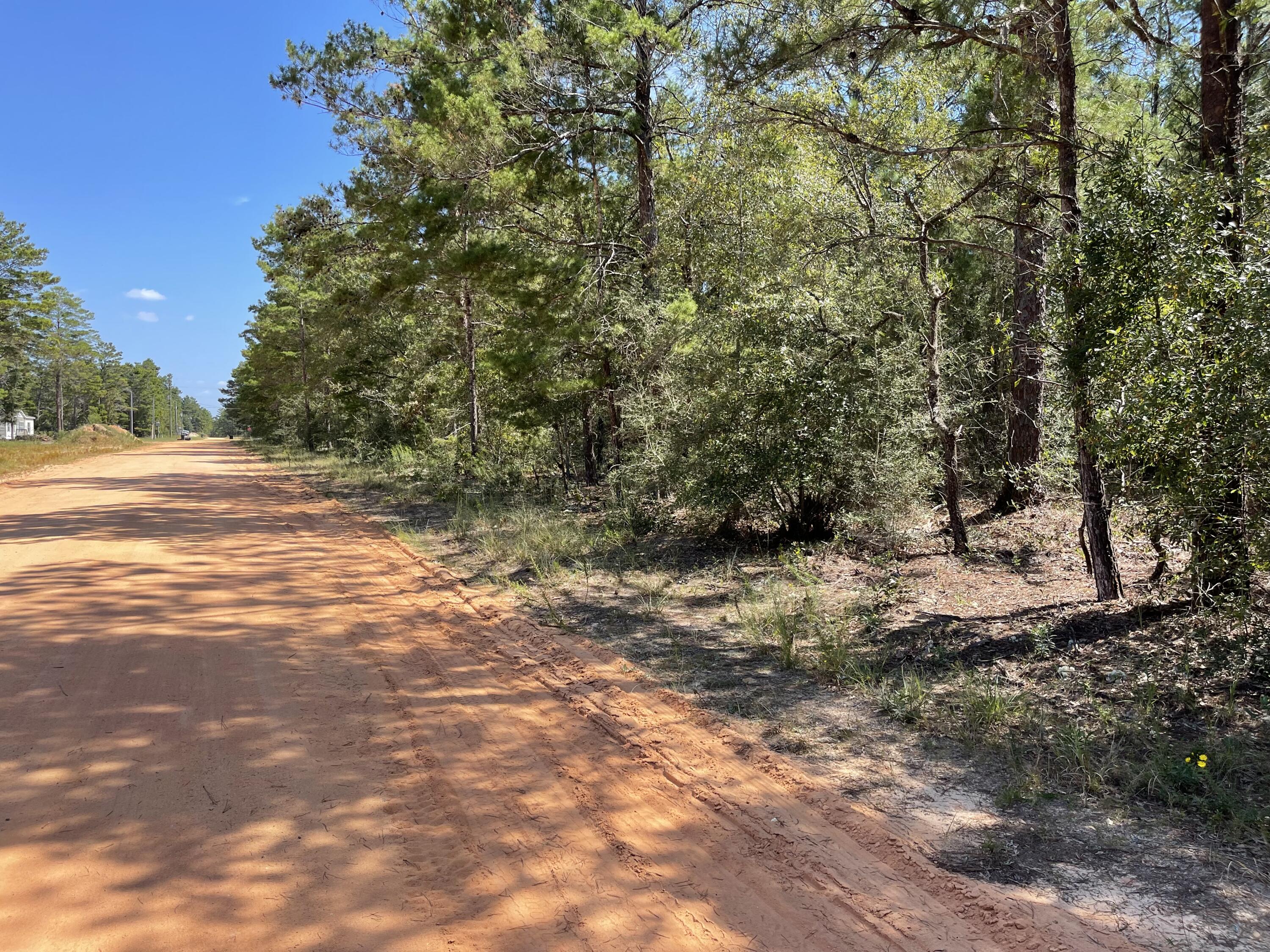 Awesome Value!! Beautiful wood lot making up approx .29 acres between DeFuniak Springs FL and Mossyhead. No HOA. Minimal Restrictions. Easy access to the I-10 & CR 285 south making it a great location for work no matter what direction you need to go! You will be approx. 30-45 mins to most workplaces as well as the beautiful white sandy beaches of Florida famous Emerald Gulf Coast and Crab Island. Modular homes allowed. There are no existing utilities. Well/Power/Septic required. Property is Flood Zone X. Per the Walton GIS mapping, the property does not appear to have wetlands. Buyer needs to verify building codes, zoning regulations, wetlands and flood zones, etc with proper local authorities to ensure buyer will be able to utilize the property for intended use. The original plat map I was able to locate has a different road name (Marigold Ave). The property appraiser shows the road is now called W. Cornflower Dr.
Information contained within this listing is deemed to be accurate but is not guaranteed.
All dimensions shown are approximately only per CRS Property Data Report. A Survey must be completed to confirm property lines and dimensions.