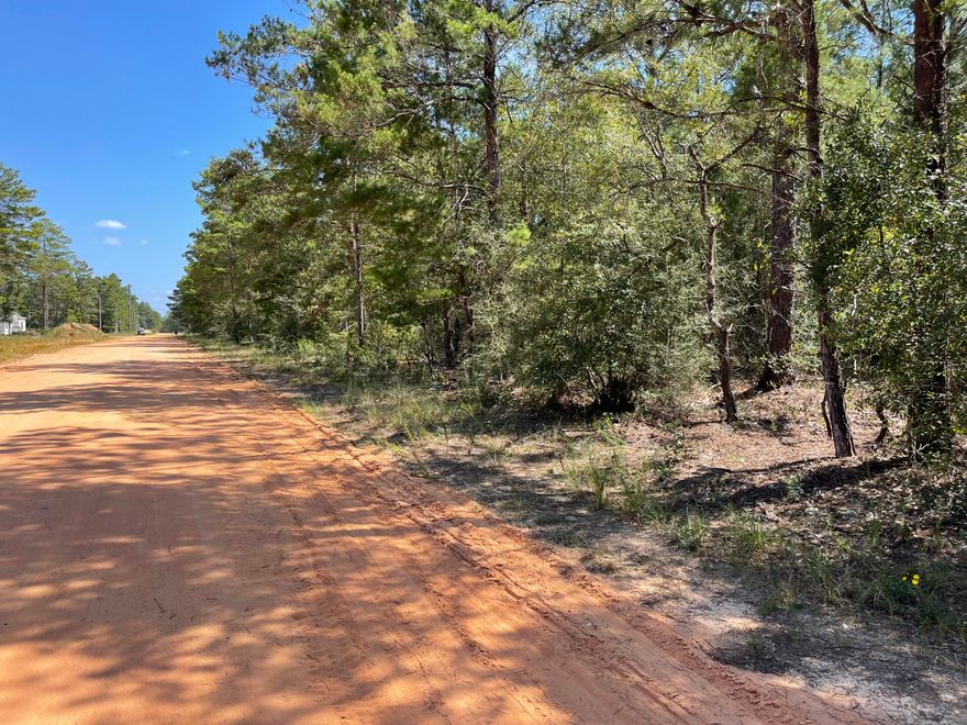 Awesome Value!! Beautiful wood lot making up approx .29 acres between DeFuniak Springs FL and Mossyhead. No HOA. Minimal Restrictions. Easy access to the I-10 & CR 285 south making it a great location for work no matter what direction you need to go!  You will be approx. 30-45 mins to most workplaces as well as the beautiful white sandy beaches of Florida famous Emerald Gulf Coast and Crab Island. Modular homes allowed. There are no existing utilities. Well/Power/Septic required. Property is Flood Zone X. Per the Walton GIS mapping, the property does not appear to have wetlands. Buyer needs to verify building codes, zoning regulations, wetlands and flood zones, etc with proper local authorities to ensure buyer will be able to utilize the property for intended use. The original plat map I was able to locate has a different road name (Marigold Ave). The property appraiser shows the road is now called W. Cornflower Dr.

Information contained within this listing is deemed to be accurate but is not guaranteed.

All dimensions shown are approximately only per CRS Property Data Report.  A Survey must be completed to confirm property lines and dimensions.
