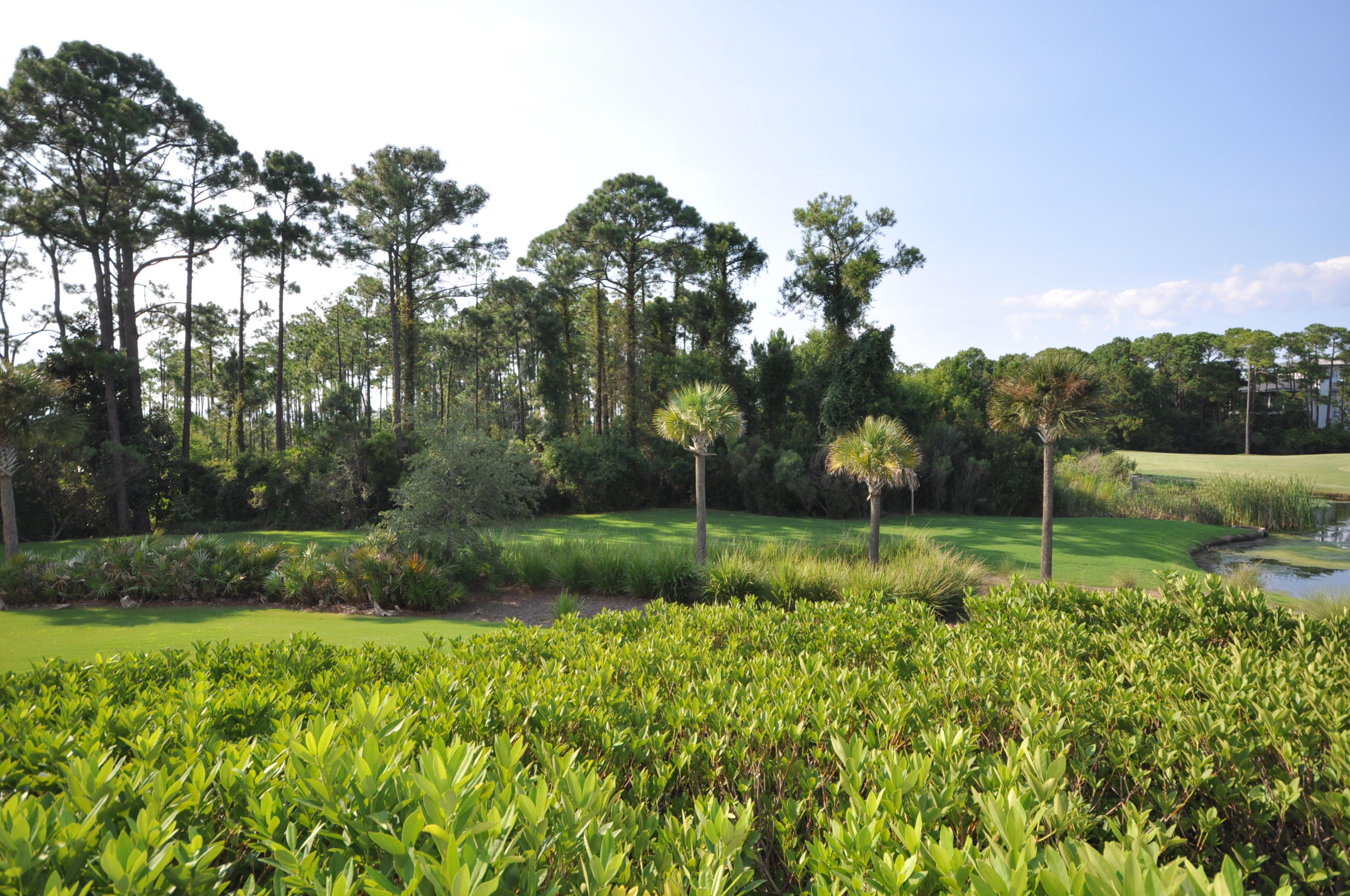 ELATION - Residential Lease