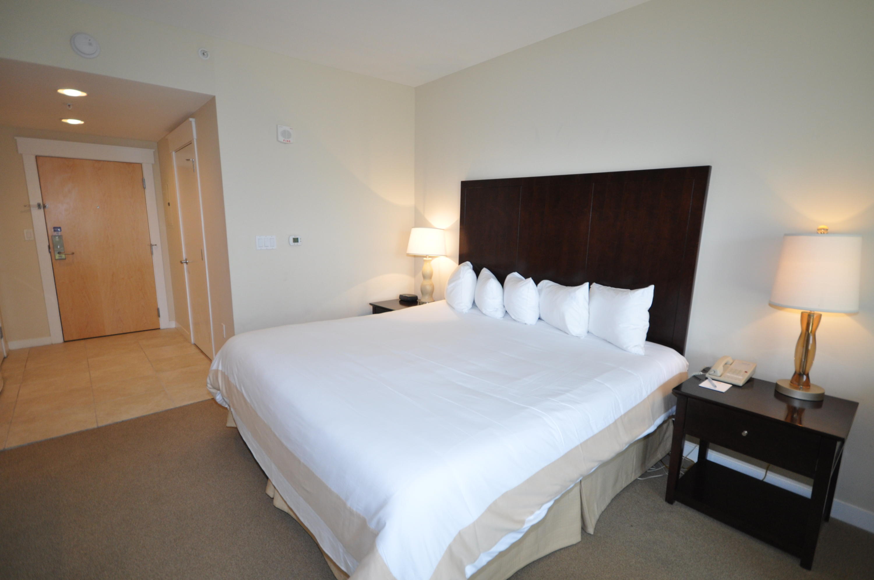 ELATION - Residential Lease