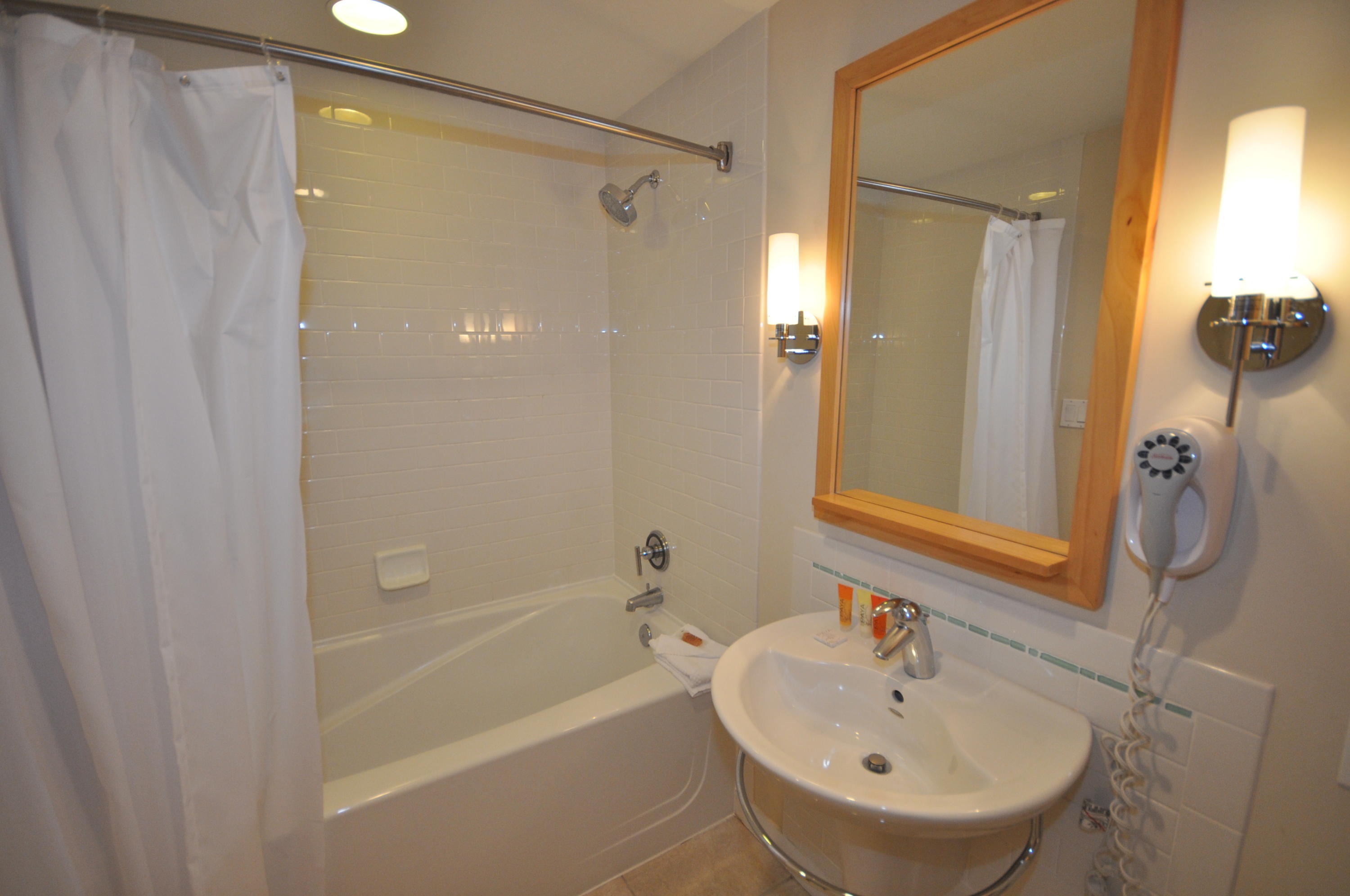 ELATION - Residential Lease