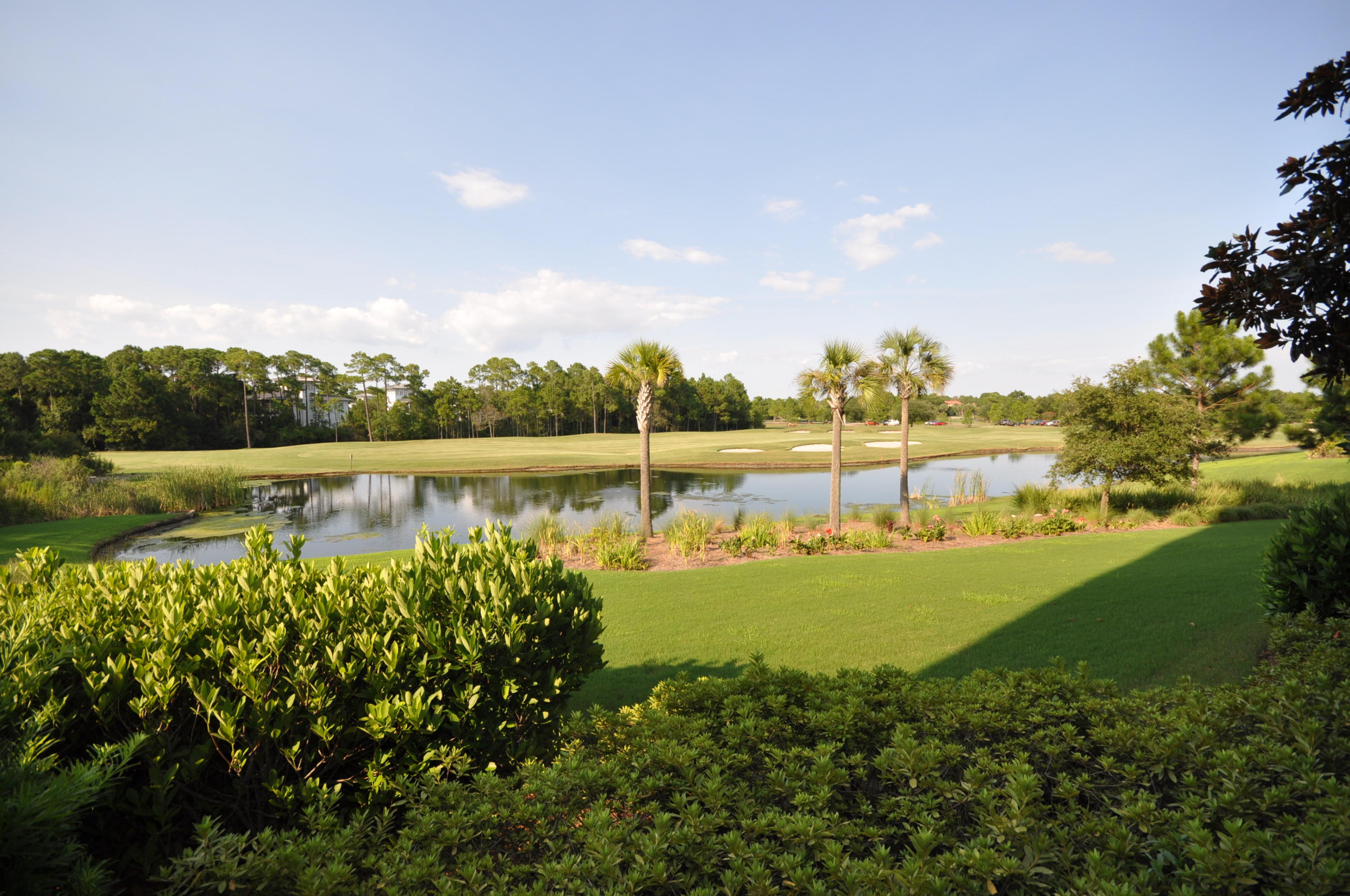 ELATION - Residential Lease