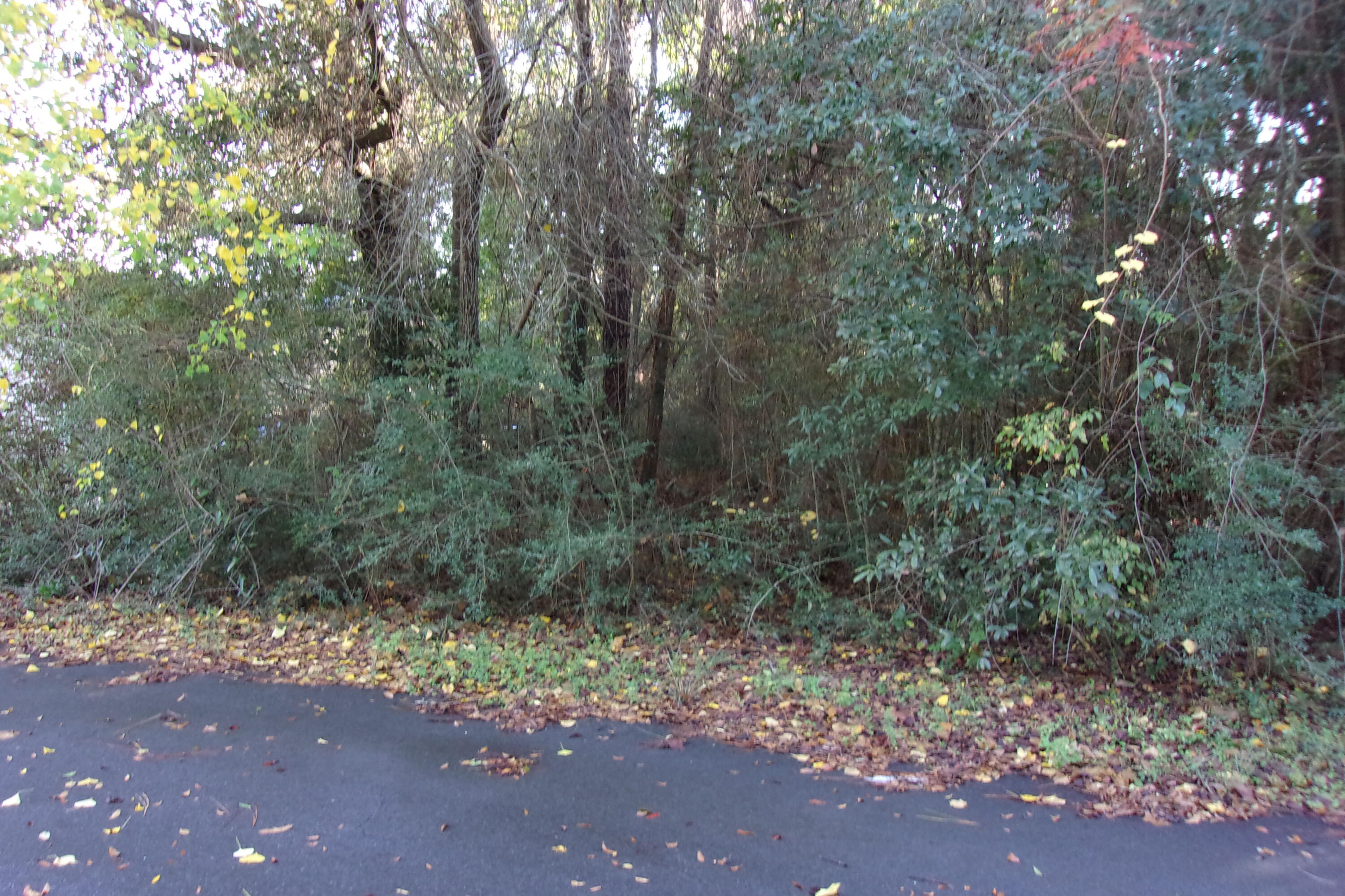 Level lot on a dead-end paved road located in the middle of Crestview - Wooded with water, gas and power available. Mobile Homes allowed.