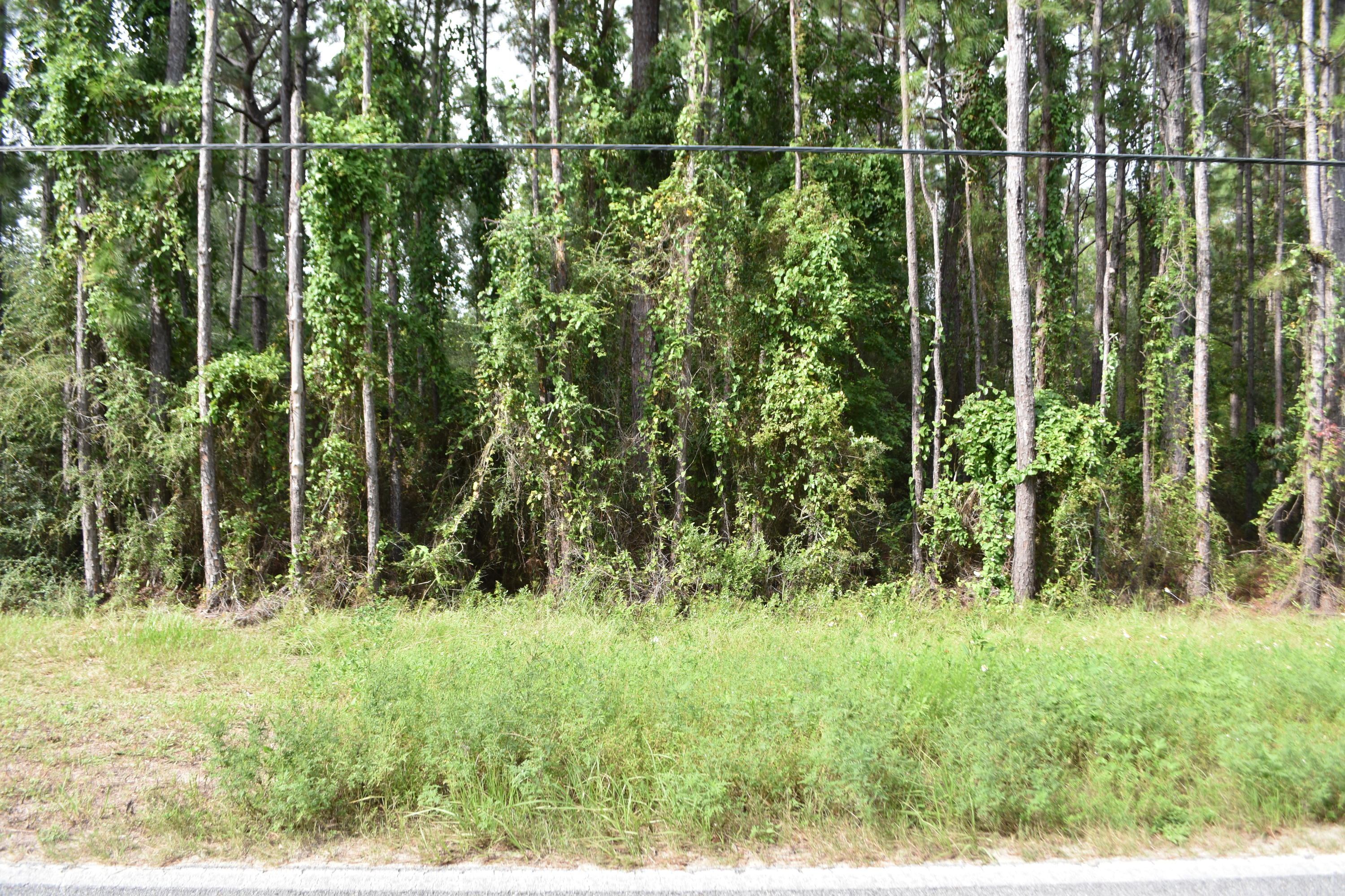 Metes and Bounds - Land