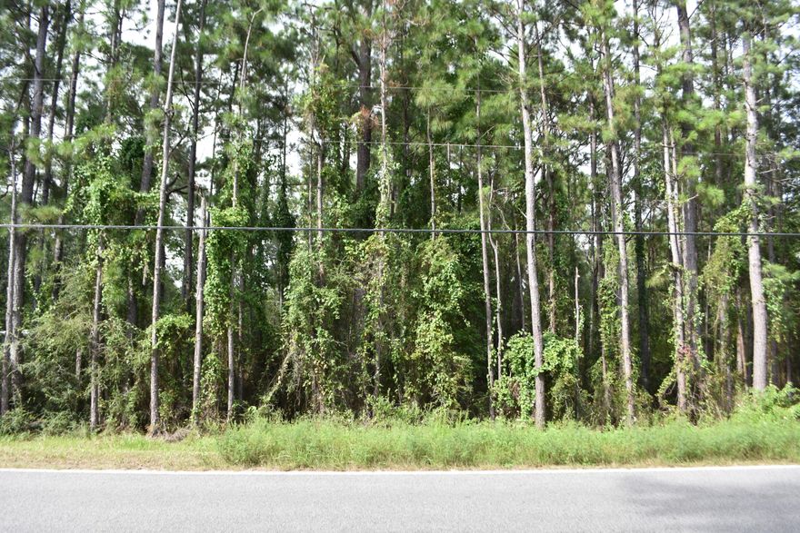 Large .35 acre buildable, high and dry lot. Don't want to live in an HOA restrictive neighborhood with neighbors right on top of you? Although it feels secluded, you are short ride to neighborhood amenities of Freeport and South Walton.