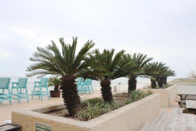 FONTAINEBLEAU TERRACE - Residential