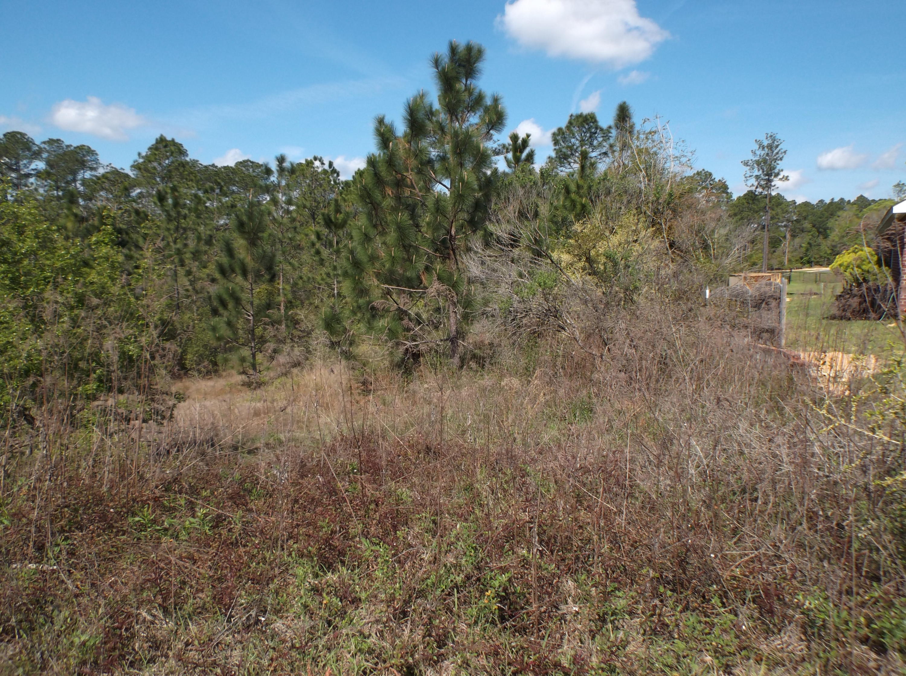 PAGE PLACE 3 PH 2 - Land