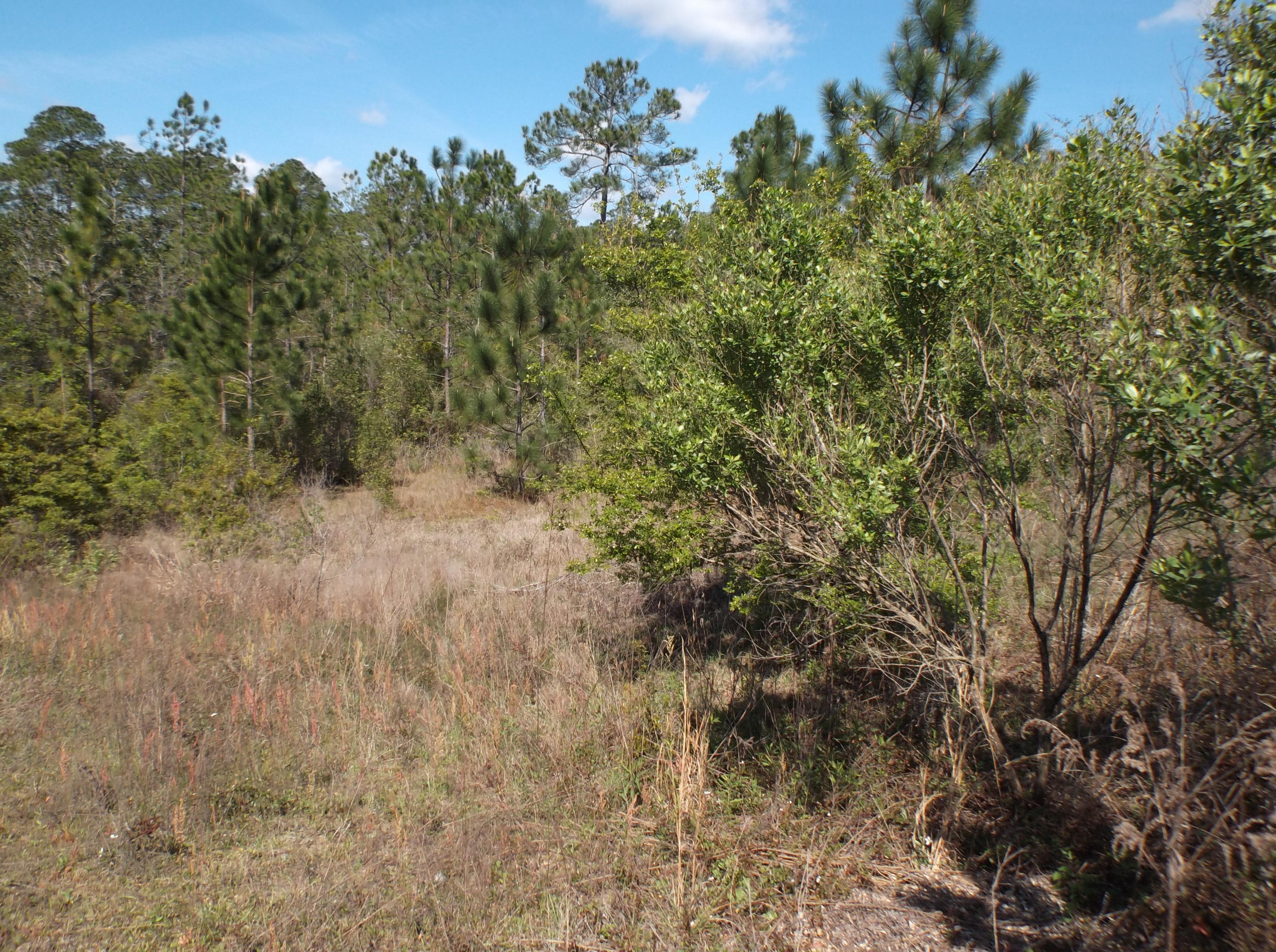 PAGE PLACE 3 PH 2 - Land