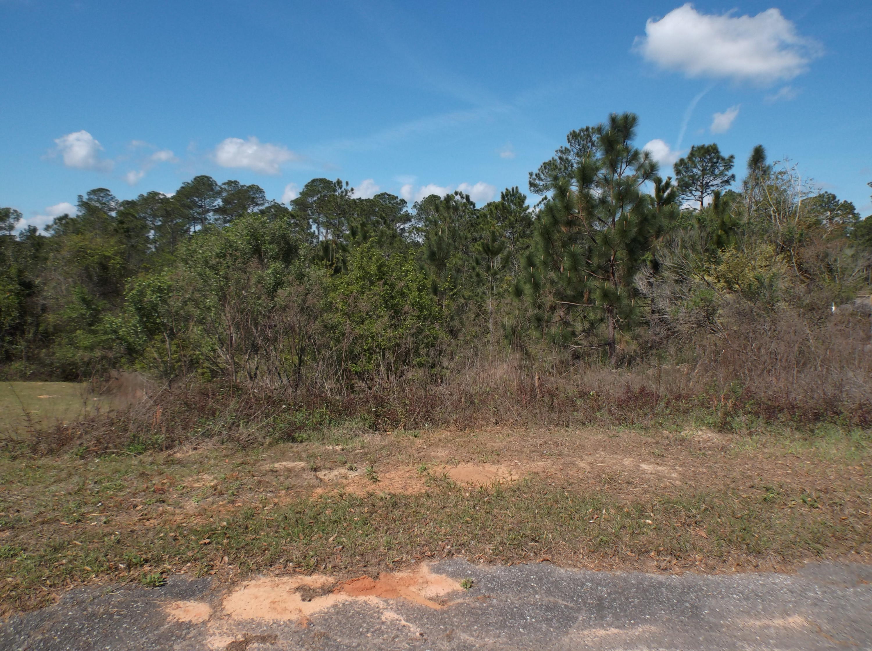 PAGE PLACE 3 PH 2 - Land