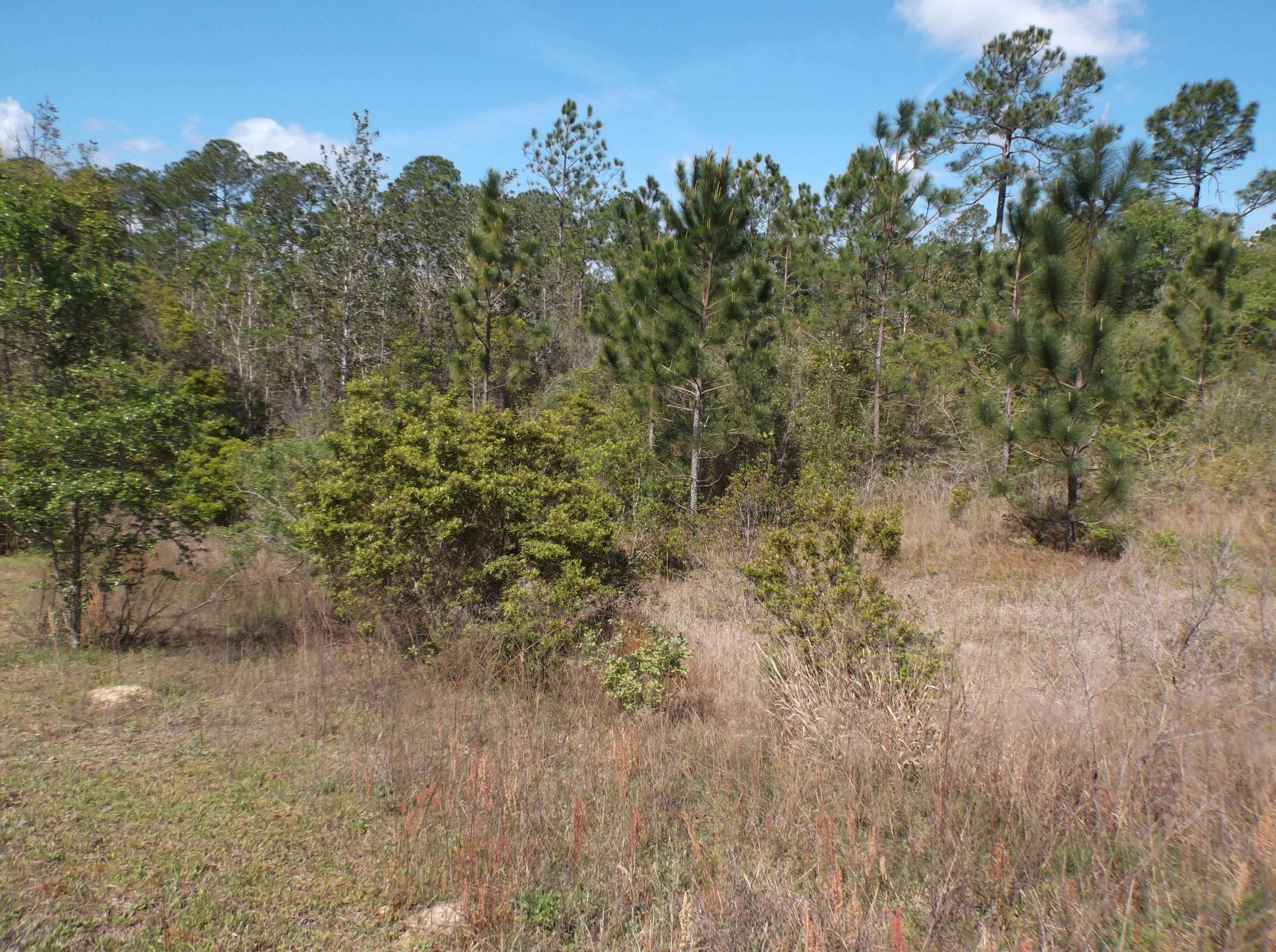 PAGE PLACE 3 PH 2 - Land