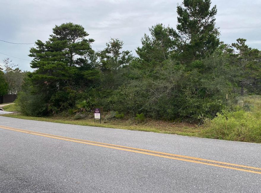 Build your dream home on this amazing treed & flat lot 1 min to the Gulf of Mexico with NO HOA & all single family homes in Beach Highlands. This quiet and peaceful community is 1 minute to the brand new beach access with restrooms, wheelchair access, and showers located just down the street. Nature lovers, this homesite is nestled between Lake Allen and Stallworth Lake. Enjoy easy access to multiple trails and the Topsail Hill Preserve State Park to the West. Local seafood favorite, Stinky's Fish Camp is located less than 1/2 a mile away or venture out to Grand Boulevard at Sandestin with shopping, dining, & entertainment options.