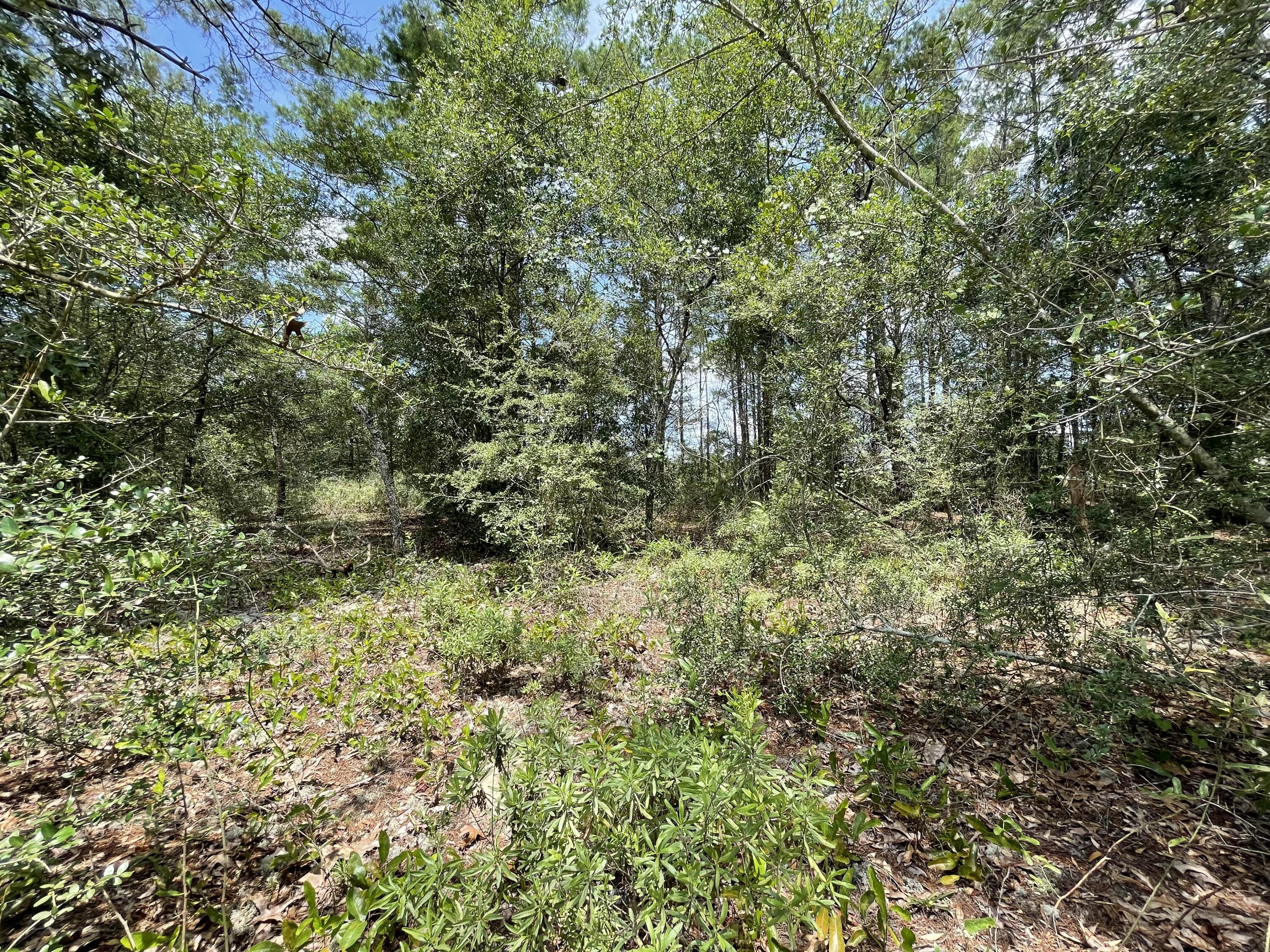 OAKWOOD HILLS UNIT 1 - Land