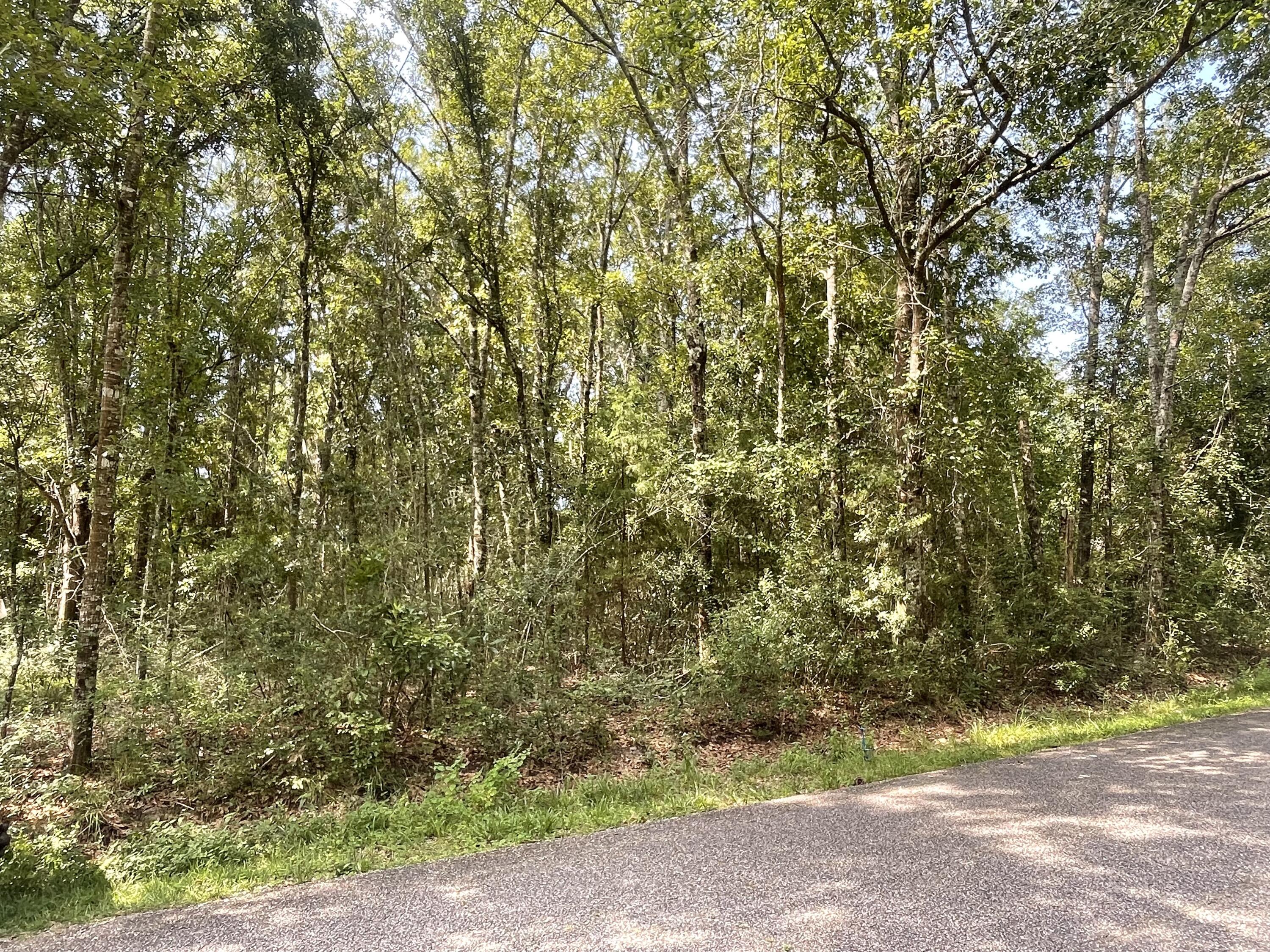 NO RECORDED SUBDIVISION - Land
