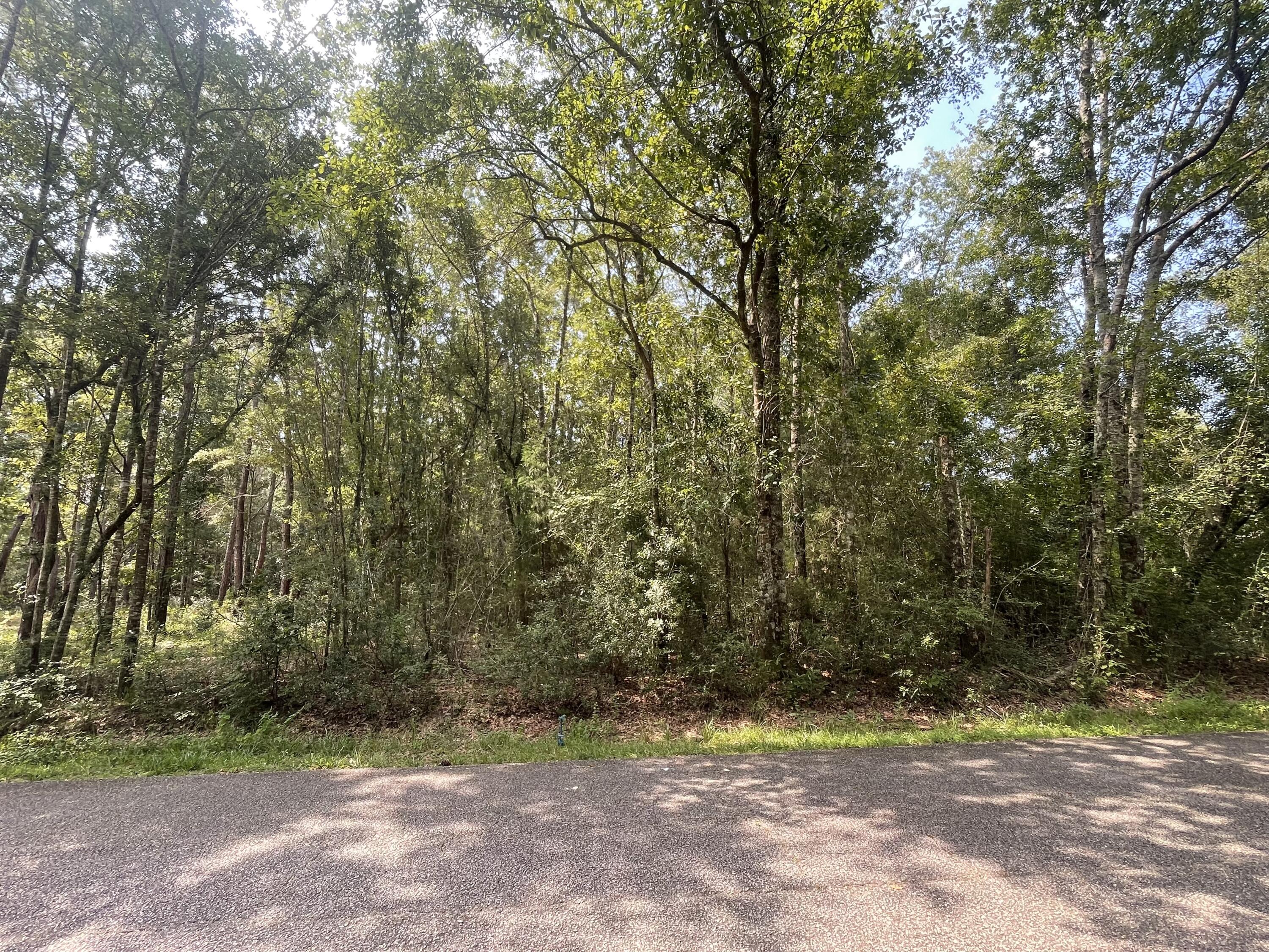2.43 acres of land with 456 road frontage on Lakeview Drive and 144 ft of road frontage on Corral Road. This land offers a great space to build your home or divide and build multiple homes. Zoning Code RR1.