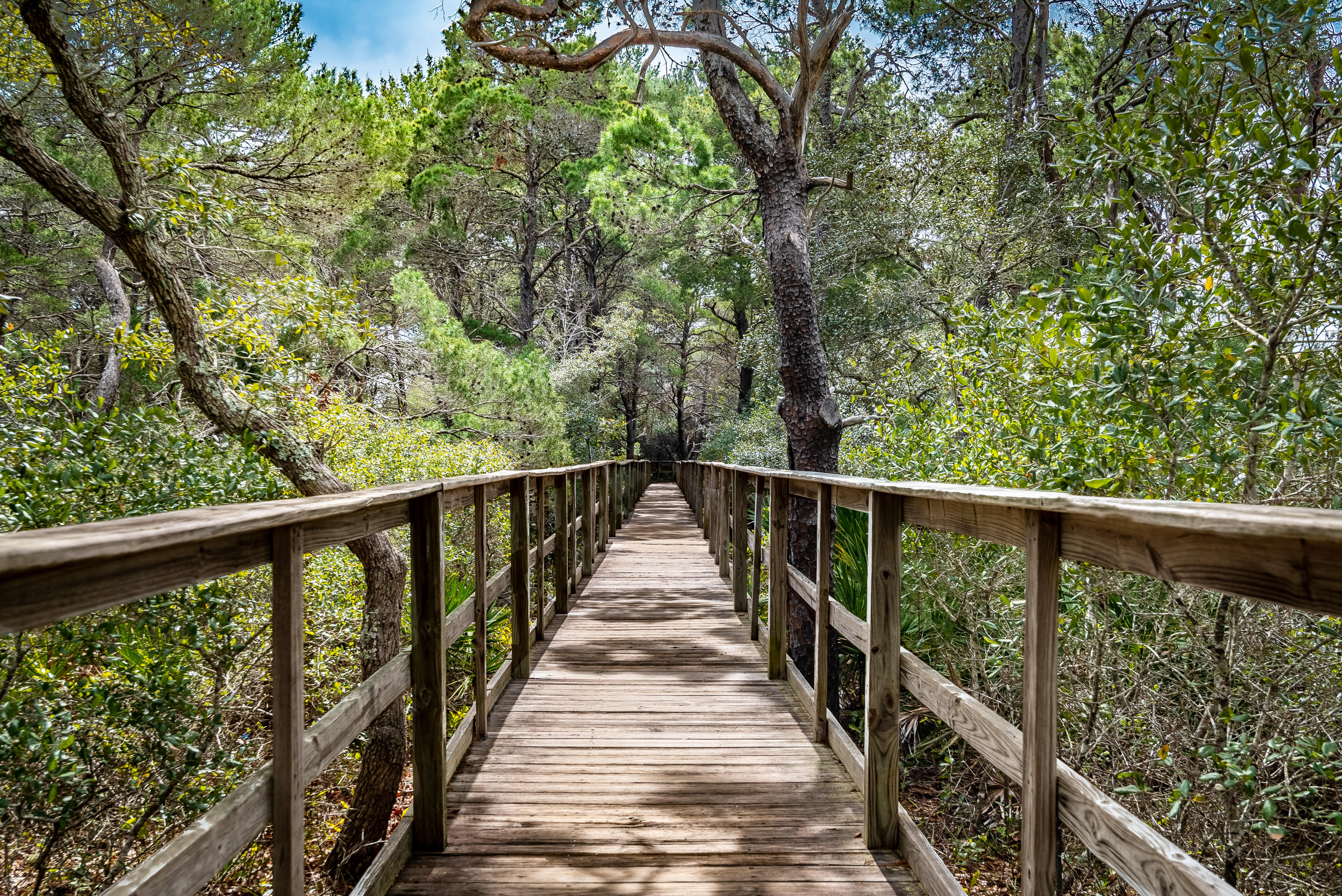 THE PRESERVE AT GRAYTON BEACH - Land