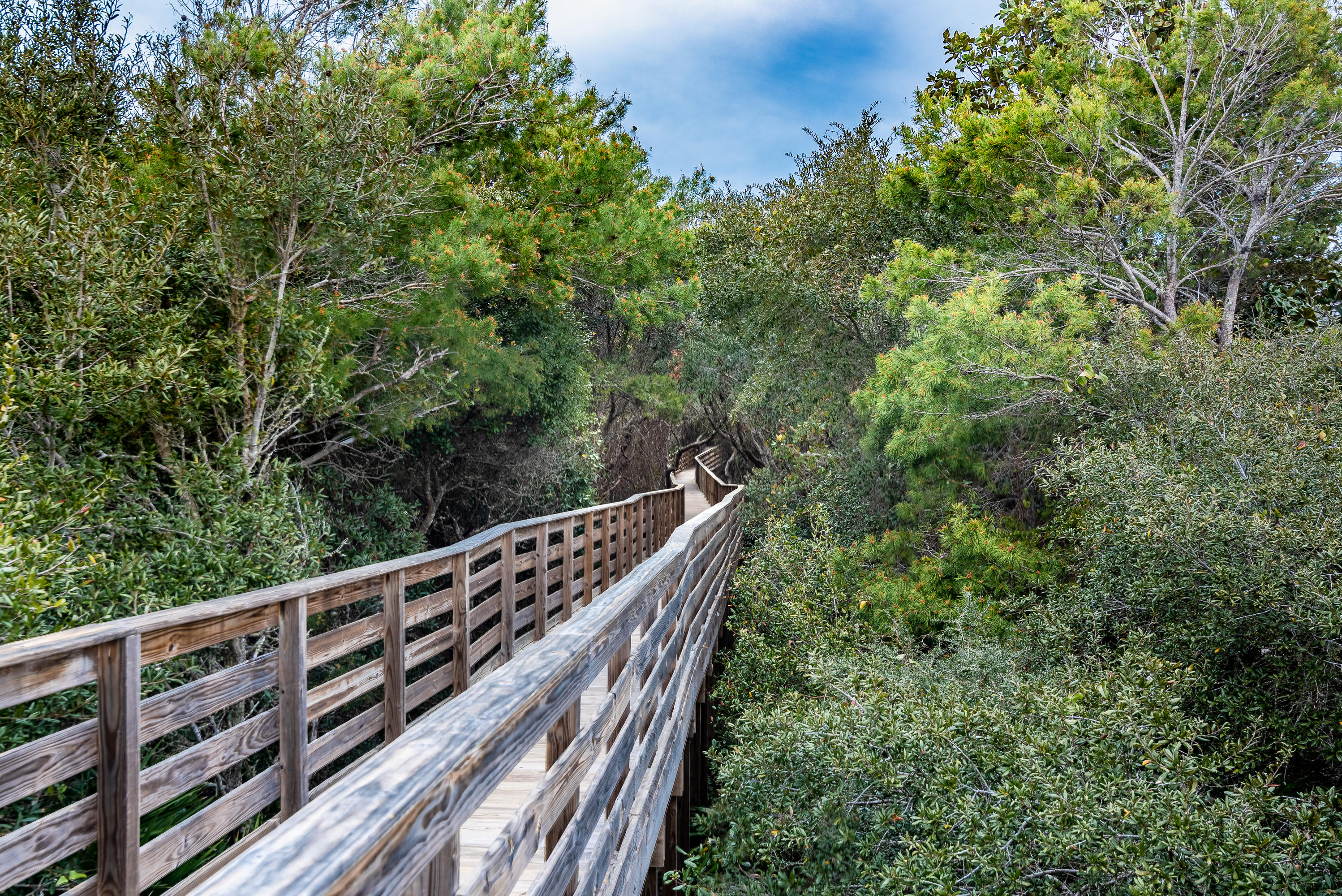THE PRESERVE AT GRAYTON BEACH - Land
