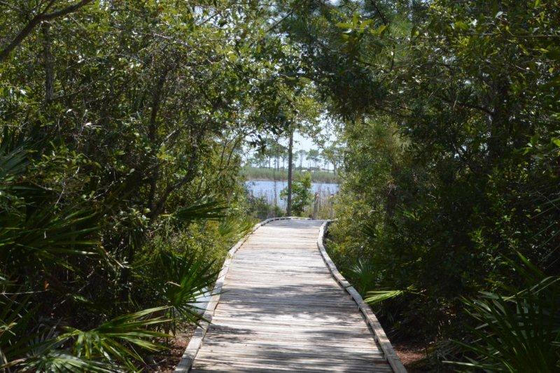 LAKE PLACE AT GRAYTON BEACH T/H - Land