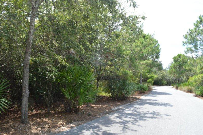 LAKE PLACE AT GRAYTON BEACH T/H - Land