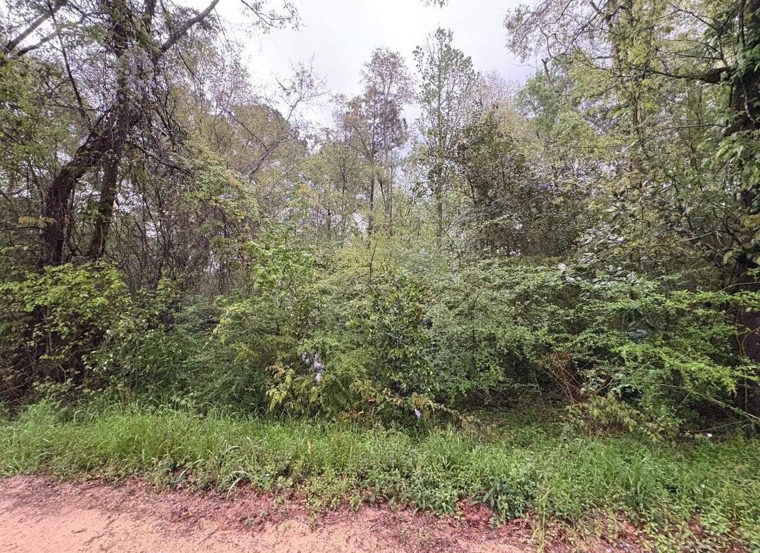 NO RECORDED SUBDIVISION - Land
