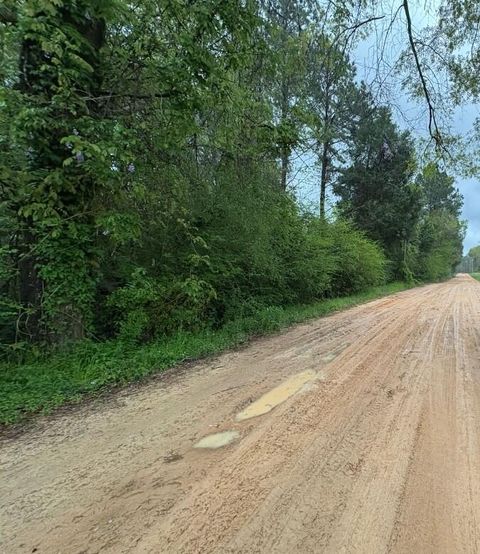 Photo of TBD J.S Jones Road, Graceville, FL 32440 (MLS # 975829)