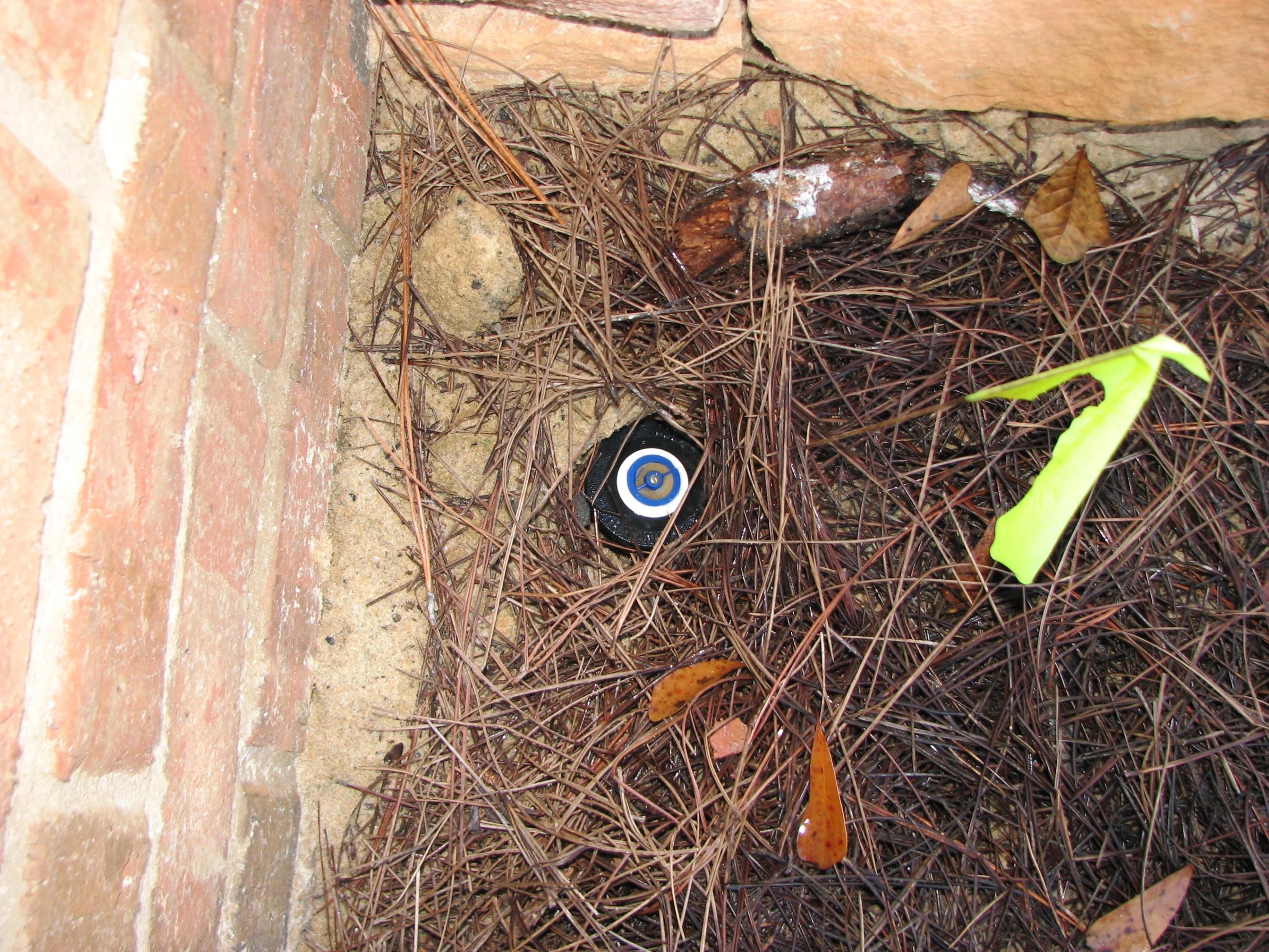 Ashton Preserve - Residential