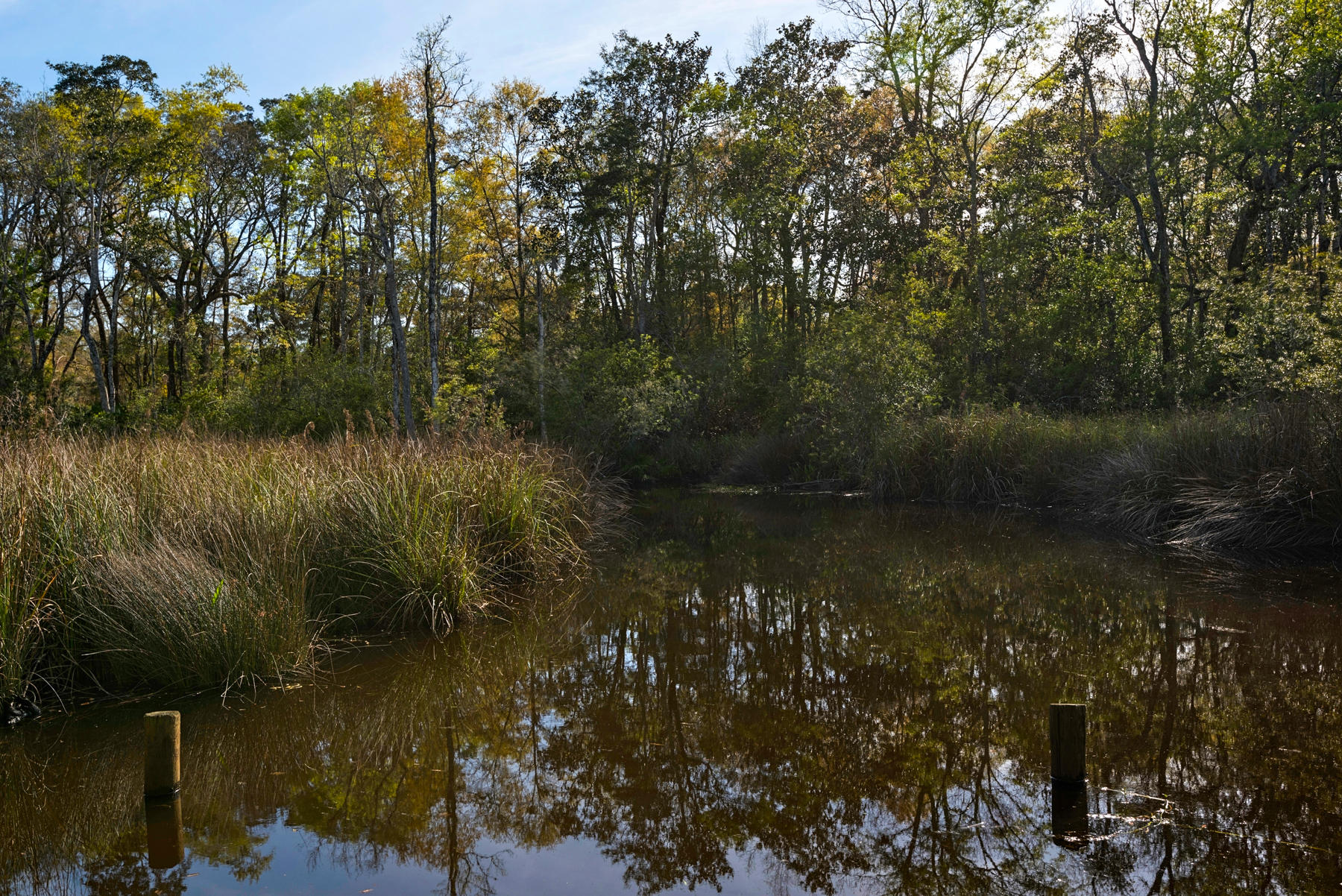 WATERVIEW COVE - Residential