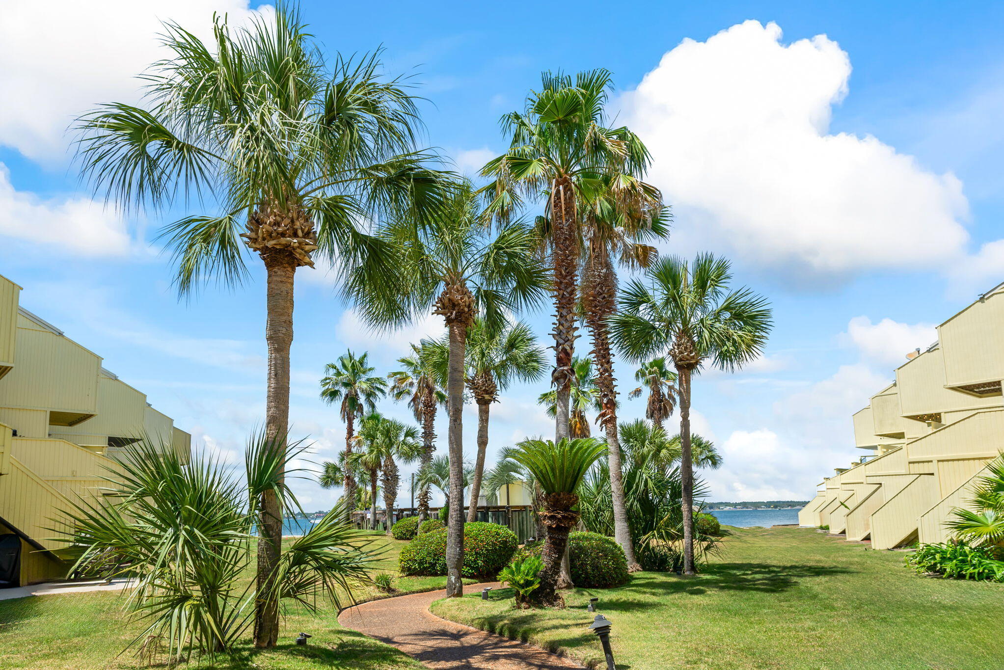 BUENA VIDA - Residential