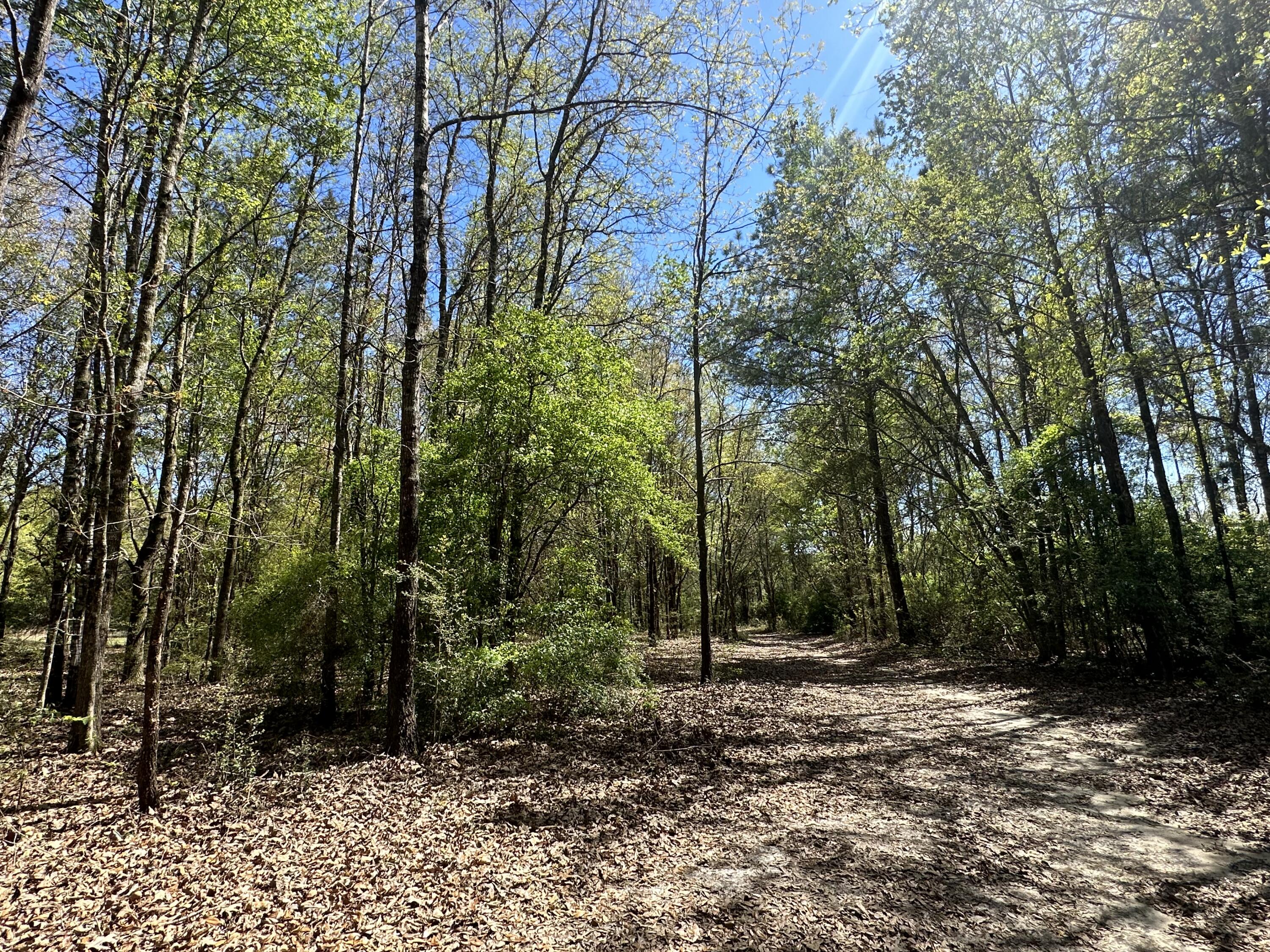 METES & BOUNDS - Land