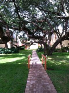 CEDARS CONDO - Residential Lease