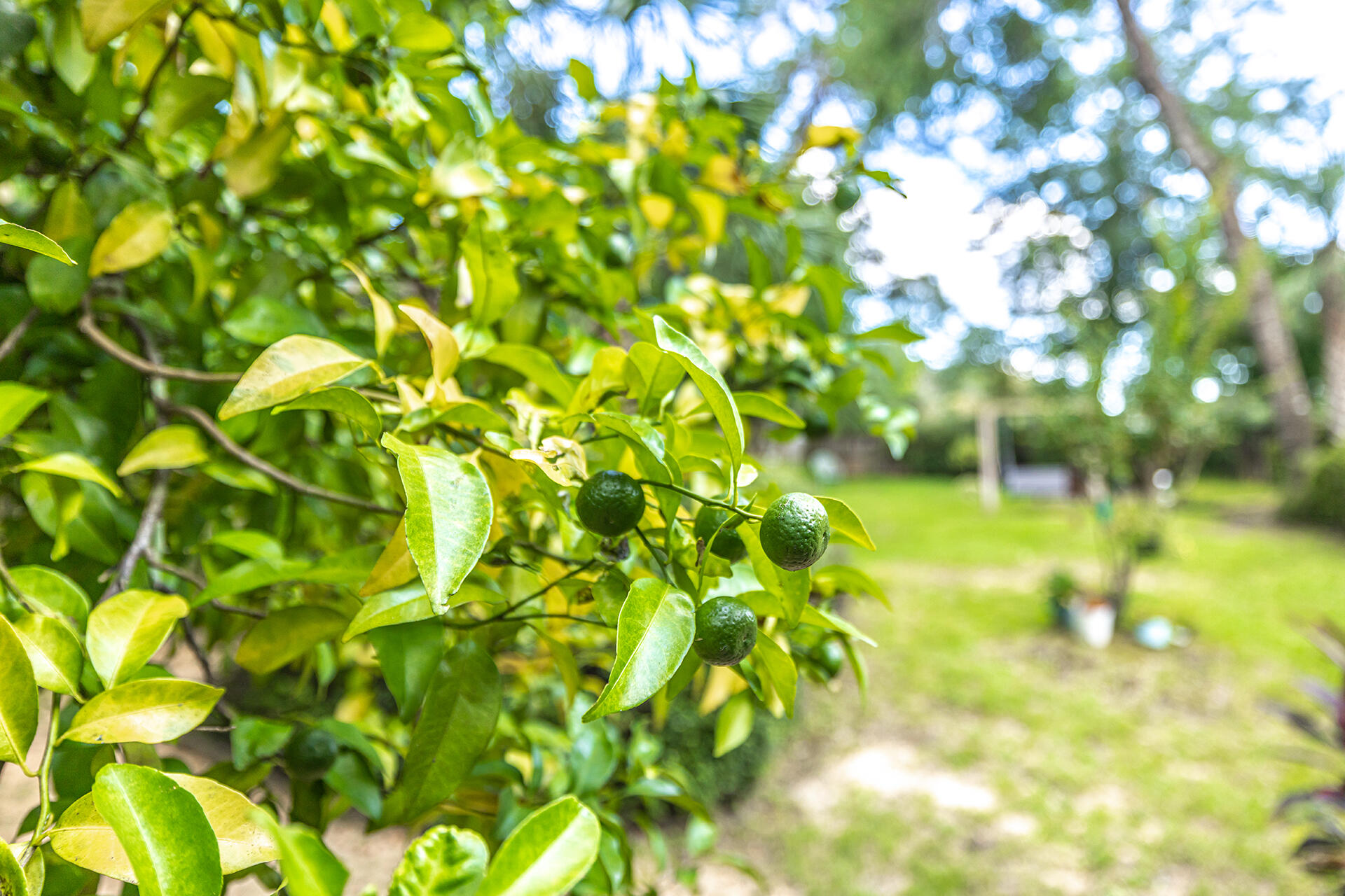 EDGEWATER VILLAGE NORTH - Residential