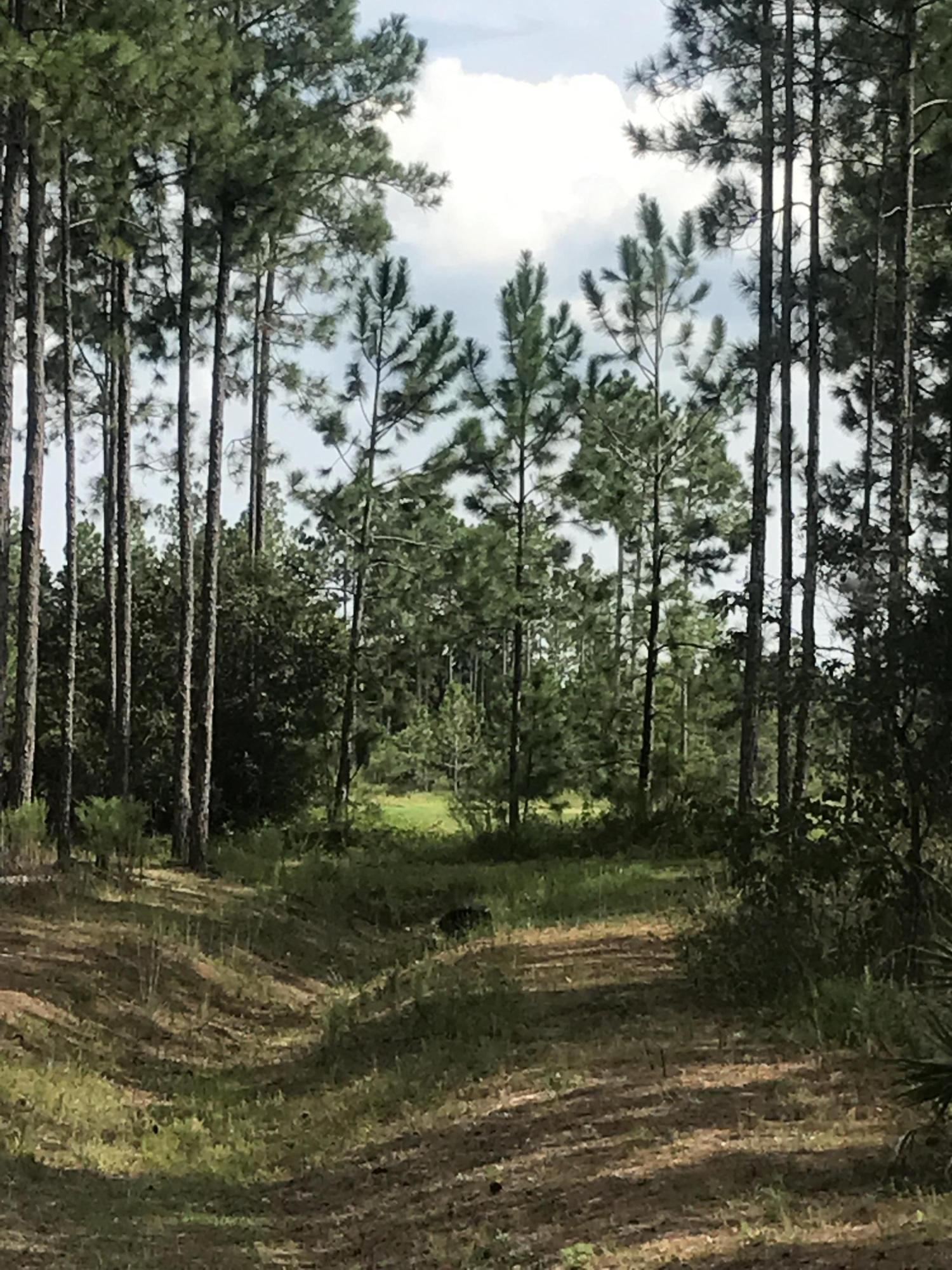 WINDSWEPT ESTATES - Land