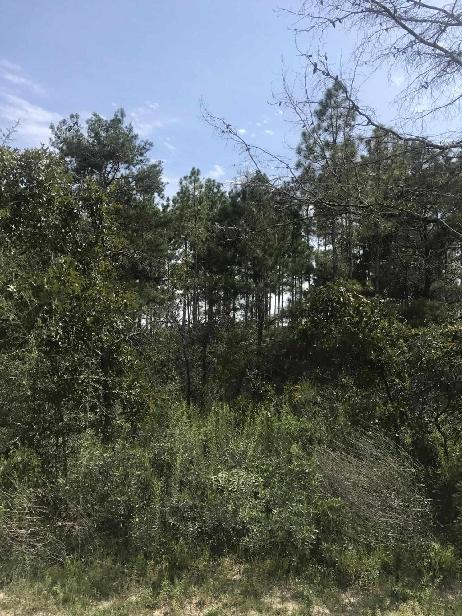 WINDSWEPT ESTATES - Land