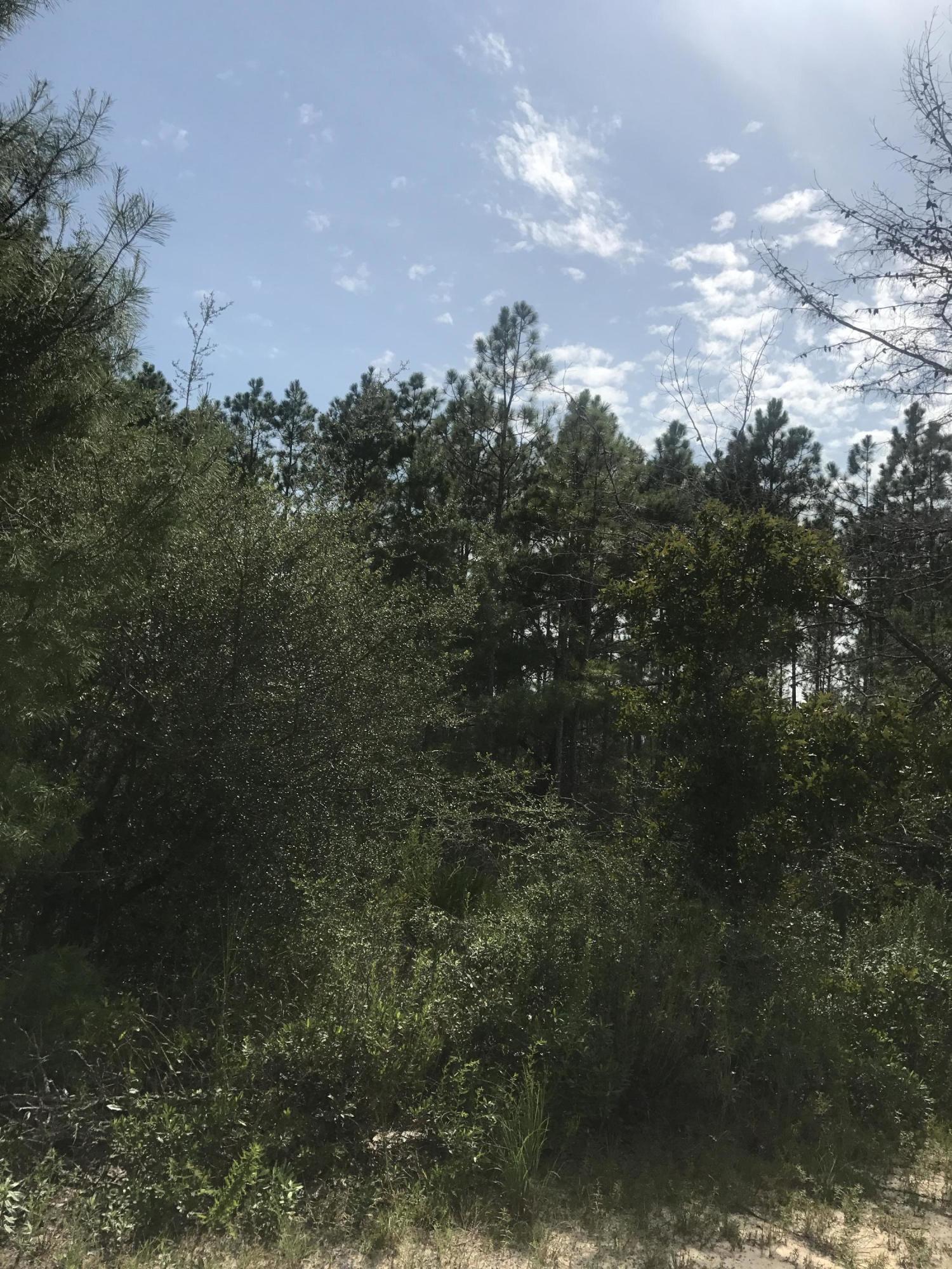 WINDSWEPT ESTATES - Land