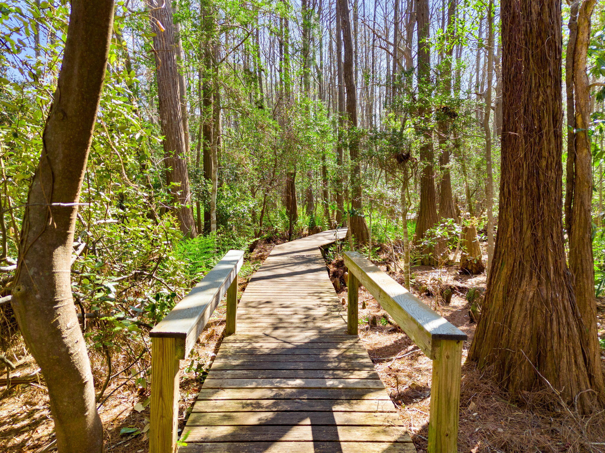 CASSINE GARDENS T/H PH 3 - Residential