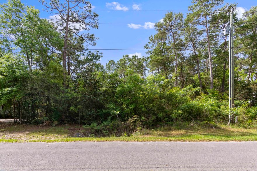 Desirably located wooded lot on a beautiful street in Point Washington. No HOA. Directly across the street from the bay. Build your dream home with possible bay views. Close to shopping, restaurants, fishing, boating, paddle boarding, and beach access. Peaceful, quiet street convenient to everything. Five minutes to Grayton Beach.