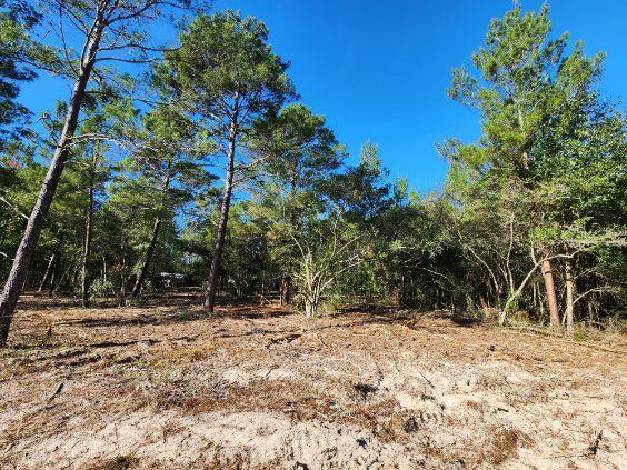 TRACT 42 HOLLEY FAMILY PROPERTY PH II - Land