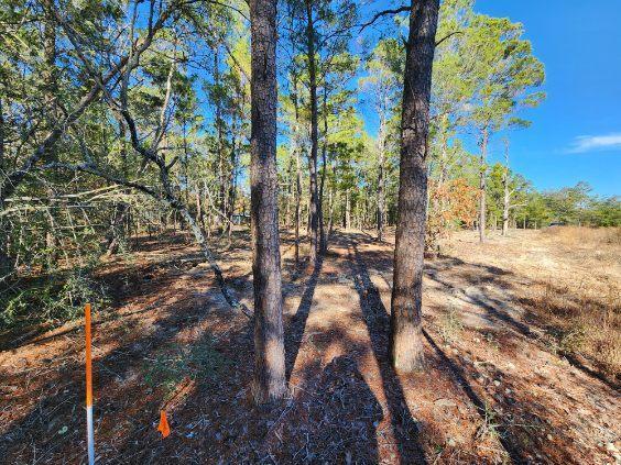 TRACT 42 HOLLEY FAMILY PROPERTY PH II - Land
