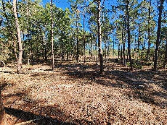 Want a place in the country with plenty of room? 1.20 Acres beautifully wooded lot near Lake Holley in DeFuniak Springs. This is a perfect spot offering privacy from the road and within close proximity to the convenience of town and the interstate. Mobile homes allowed. No HOA or No Restrictions.This property will require well and septic. Power is at property next door.Survey is available.Buyer needs to verify building codes, zoning regulations, wetlands & flood zones, etc with proper local authorities to ensure buyer will be able to utilize the property for intended use.