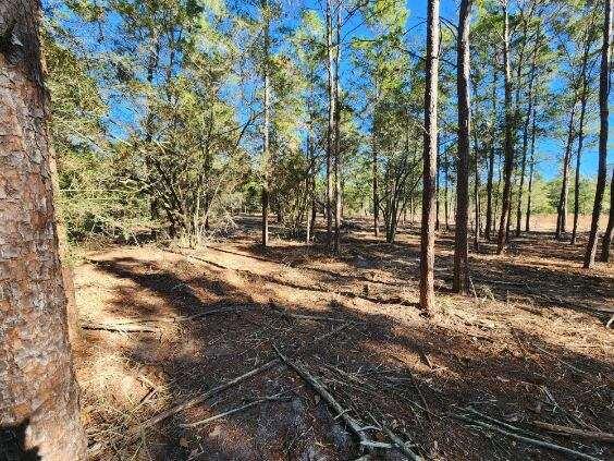 TRACT 42 HOLLEY FAMILY PROPERTY PH II - Land