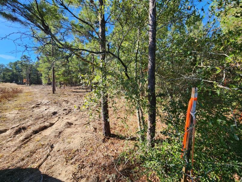 TRACT 42 HOLLEY FAMILY PROPERTY PH II - Land