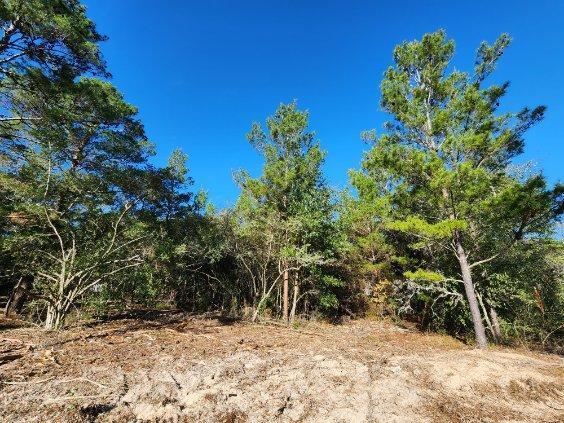 TRACT 42 HOLLEY FAMILY PROPERTY PH II - Land